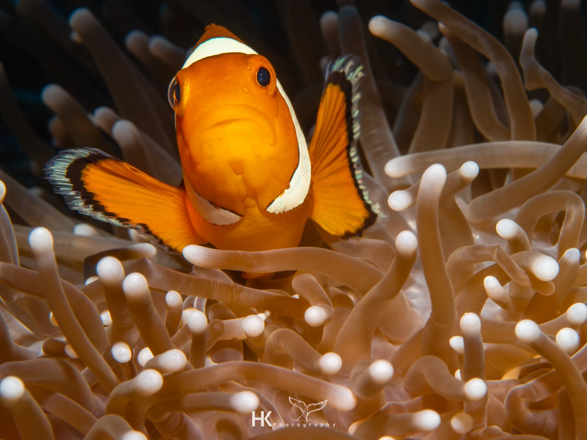 Nabucco 2025-447.jpg