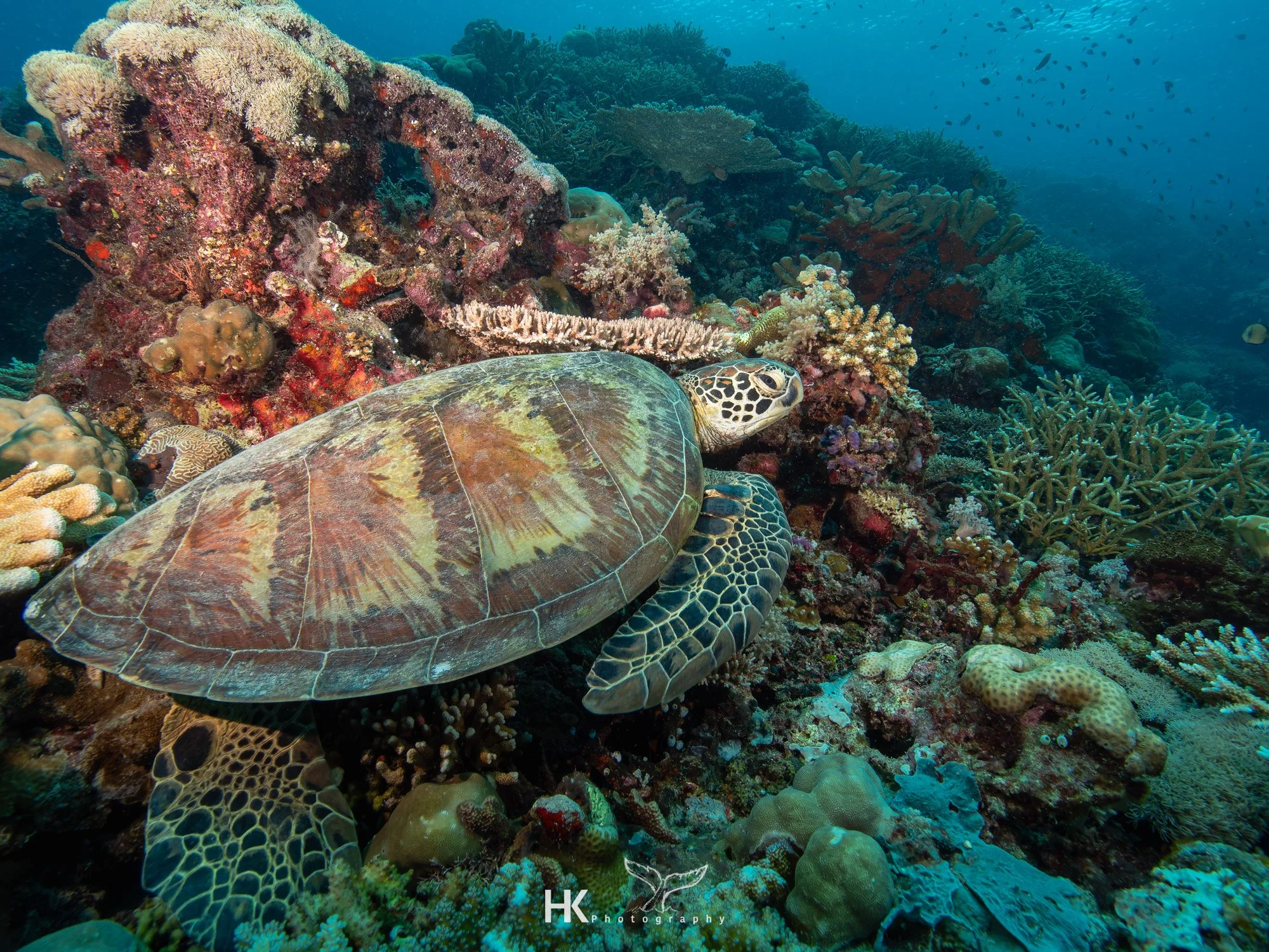 Nabucco 2025-494.jpg