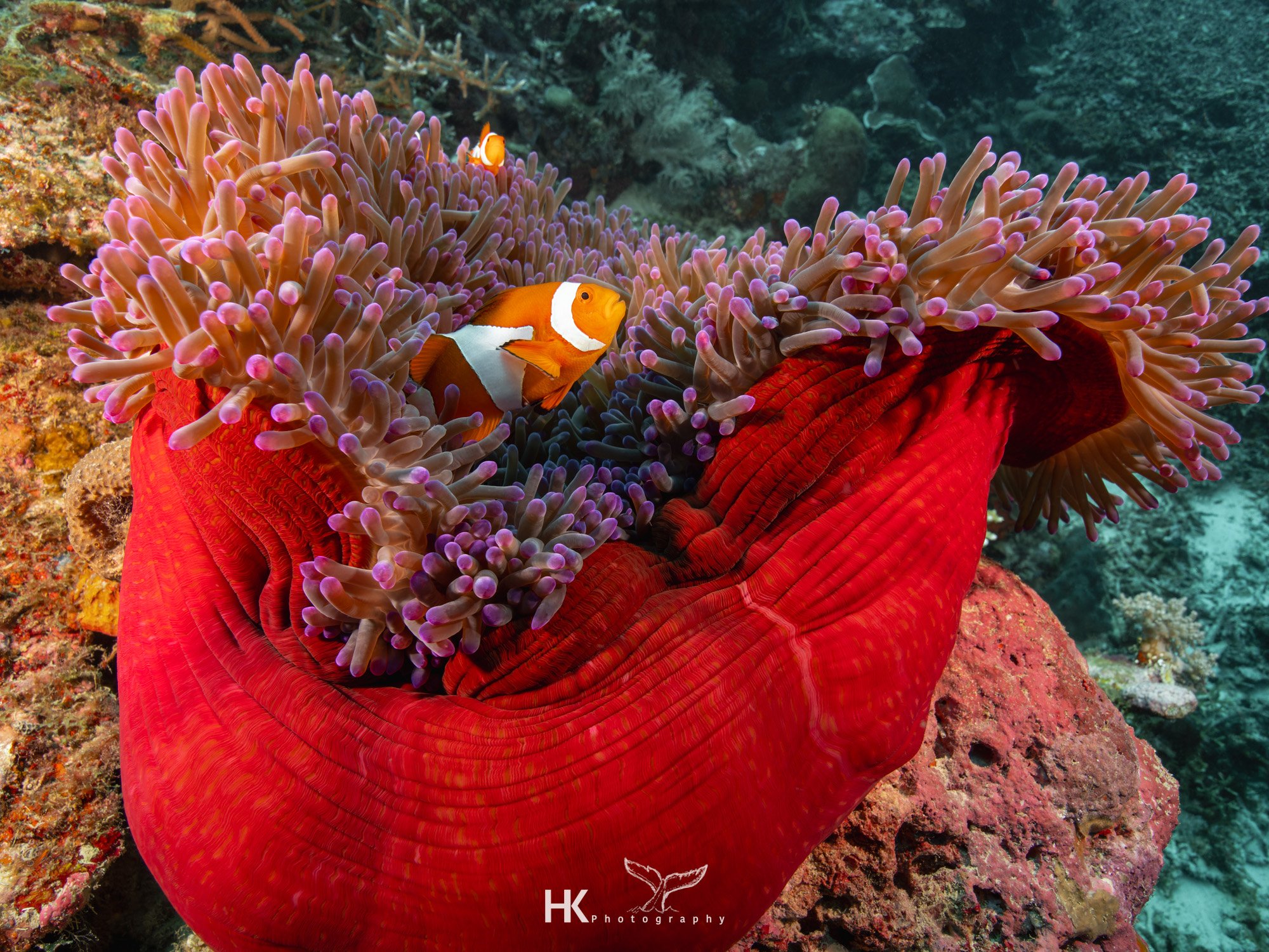 Nabucco 2025-522.jpg