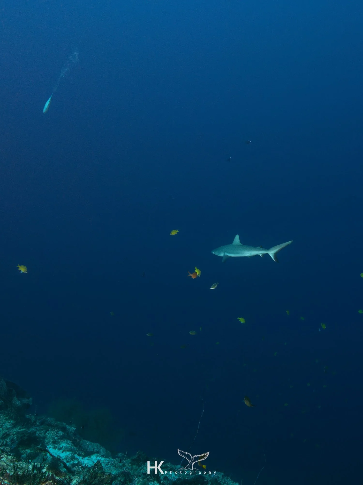 Nabucco 2025-529.jpg