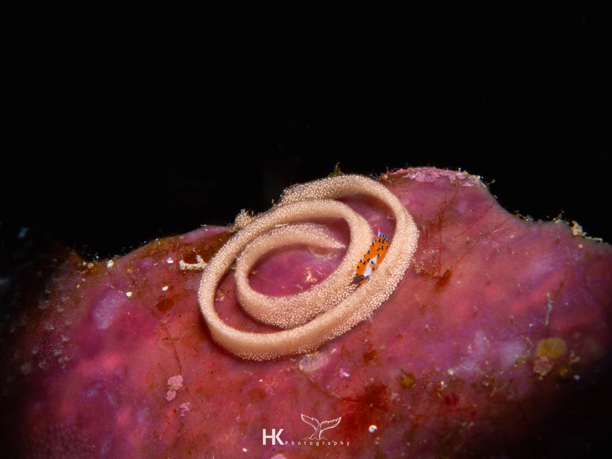 Nabucco 2025-534.jpg