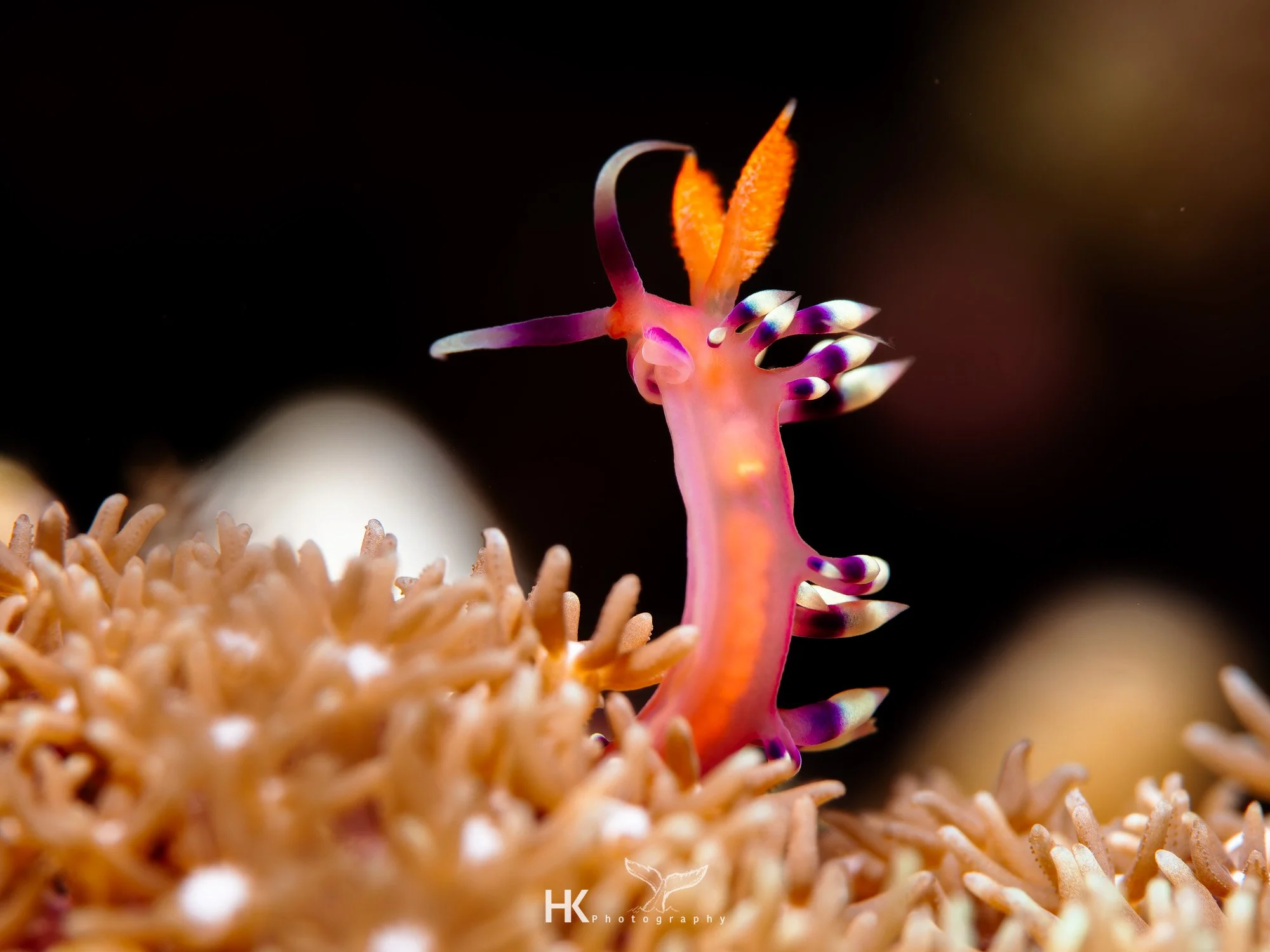 Nabucco 2025-543.jpg