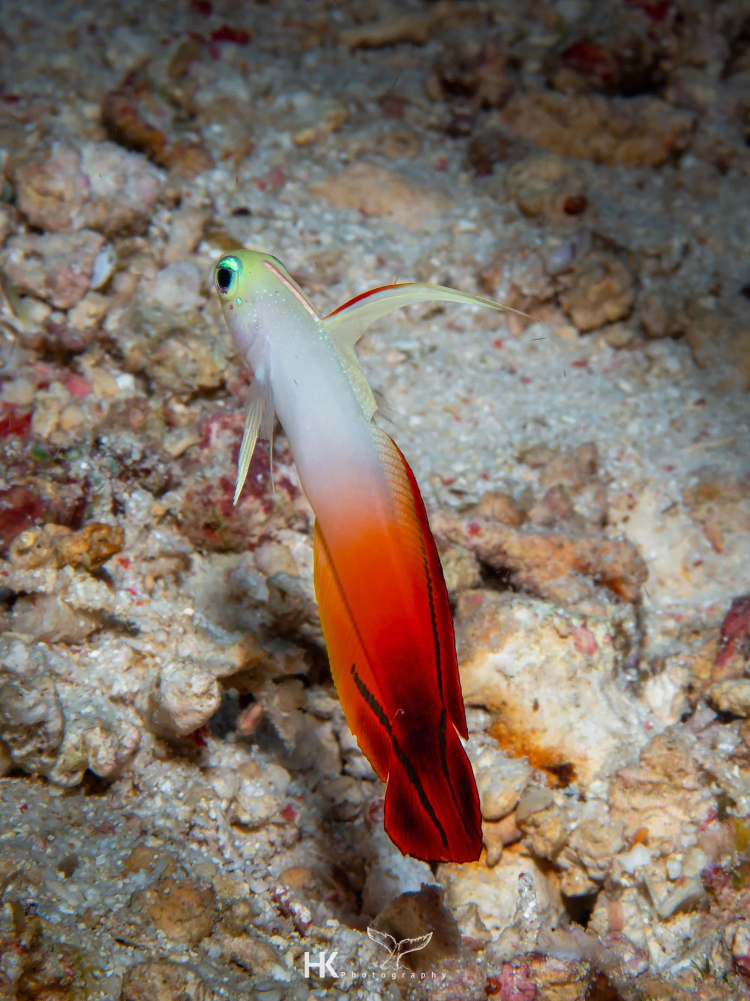 Nabucco 2025-554.jpg