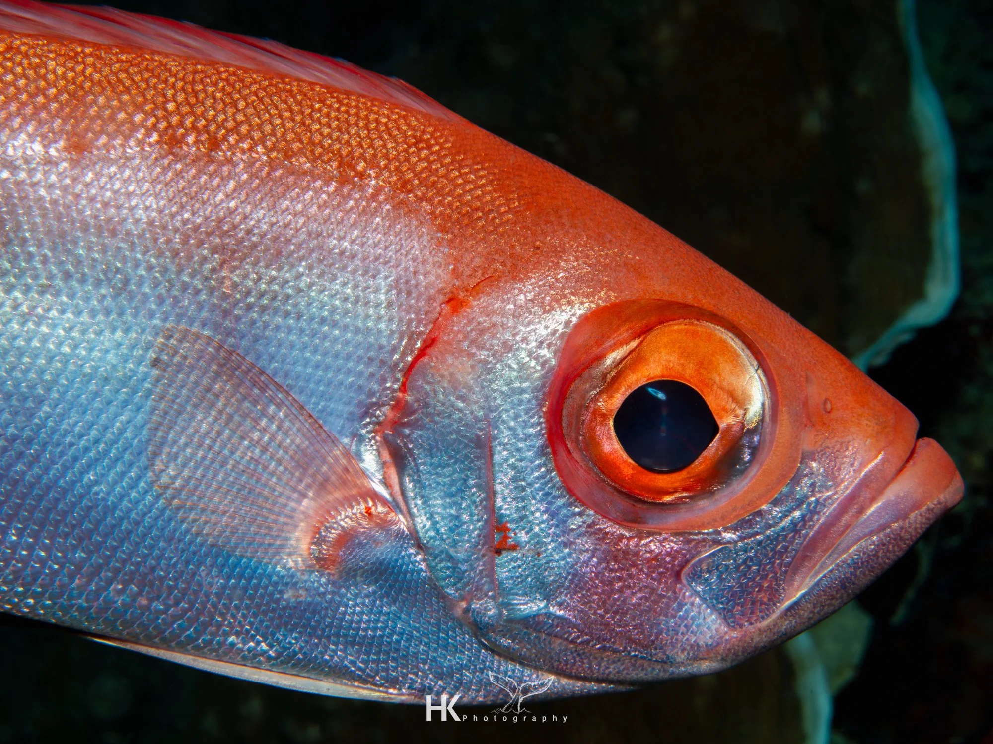 Nabucco 2025-555.jpg