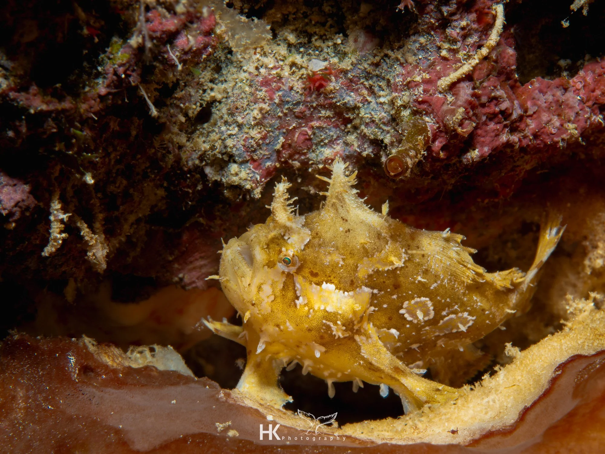 Nabucco 2025-567.jpg