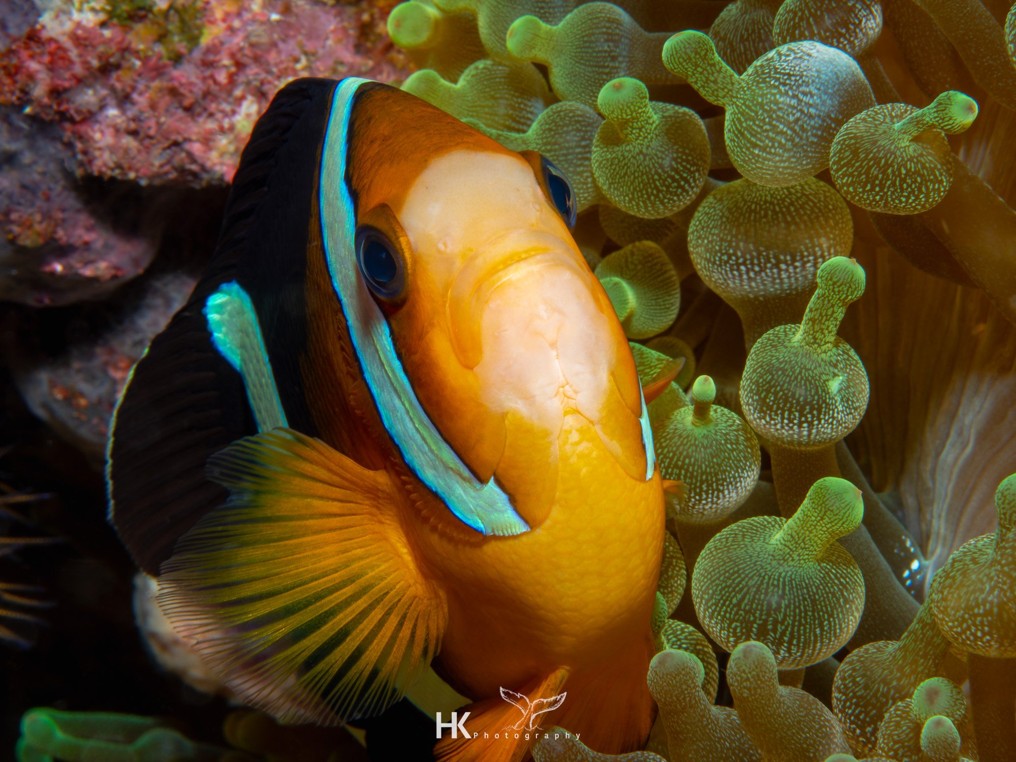 Nabucco 2025-577.jpg