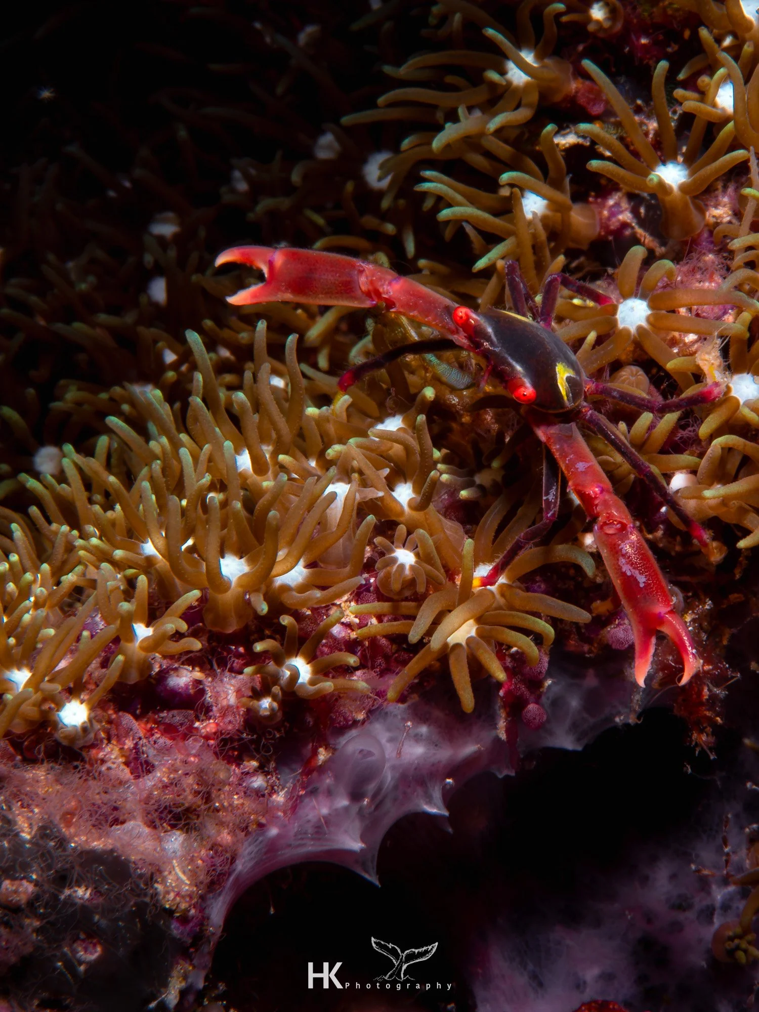 Nabucco 2025-585.jpg