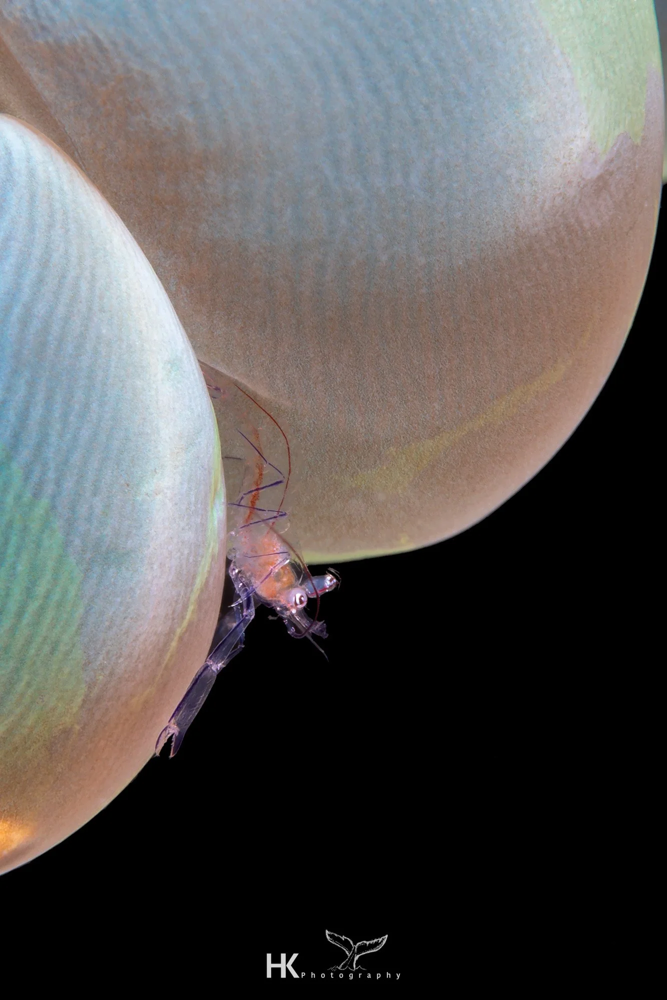 Nabucco 2025-594.jpg