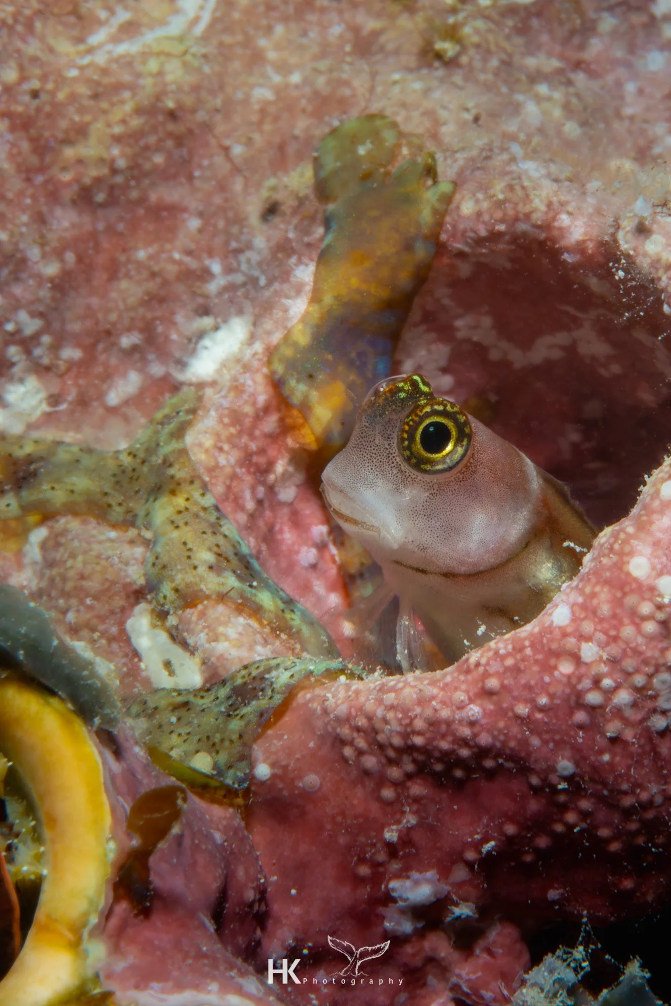 Nabucco 2025-717.jpg