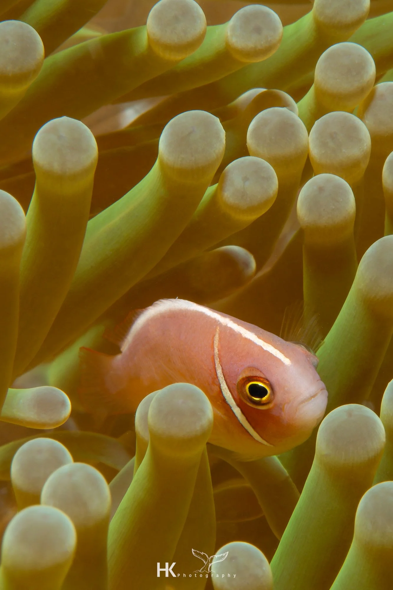 Nabucco 2025-720.jpg