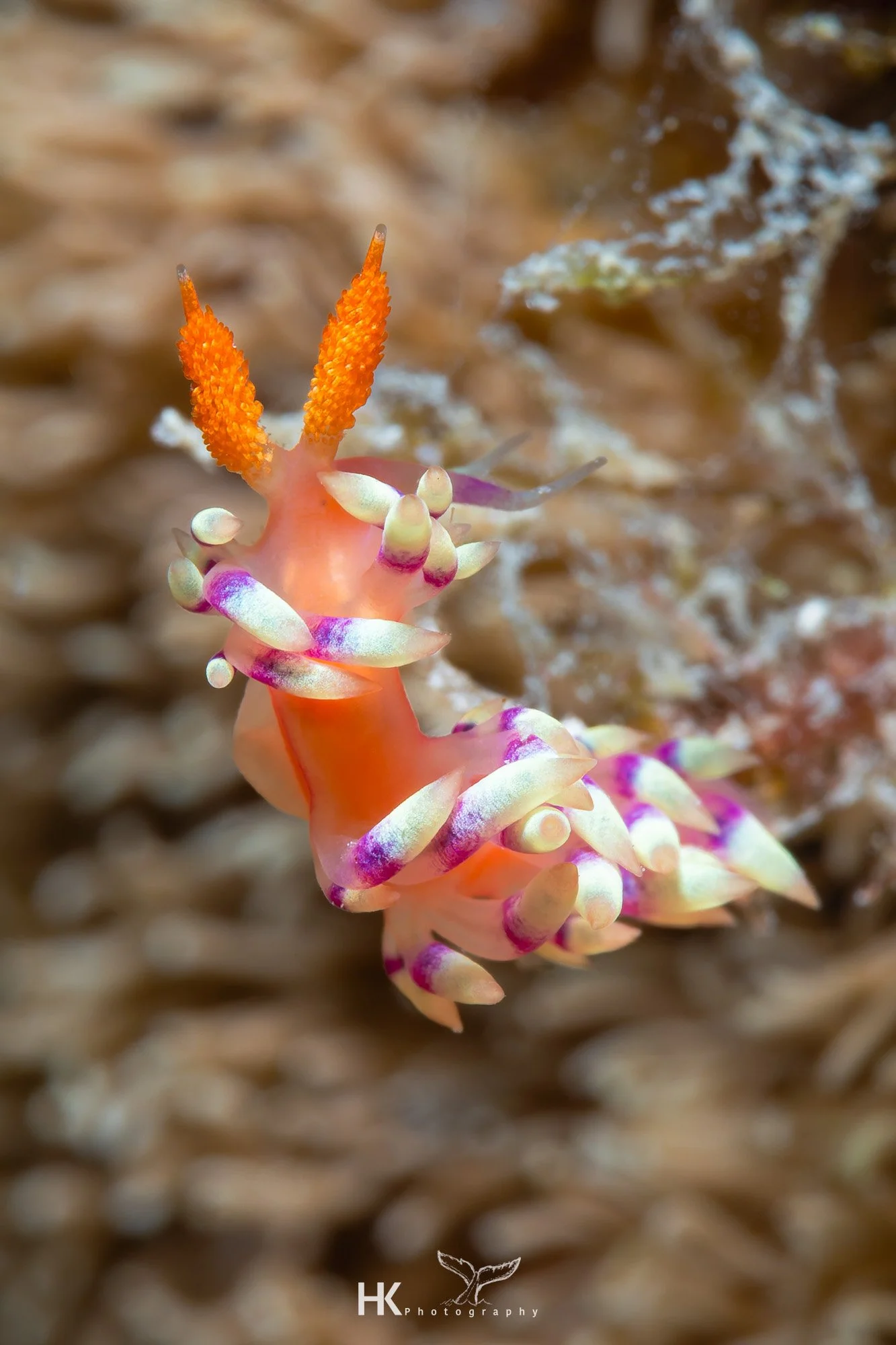 Nabucco 2025-749.jpg