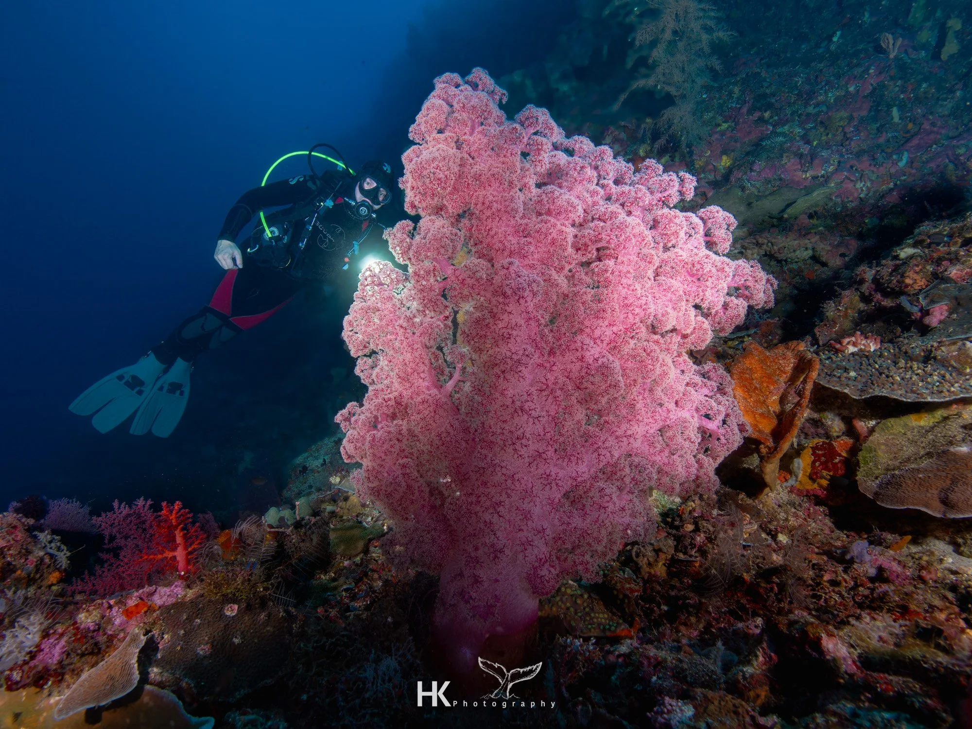 Nabucco 2025-827.jpg