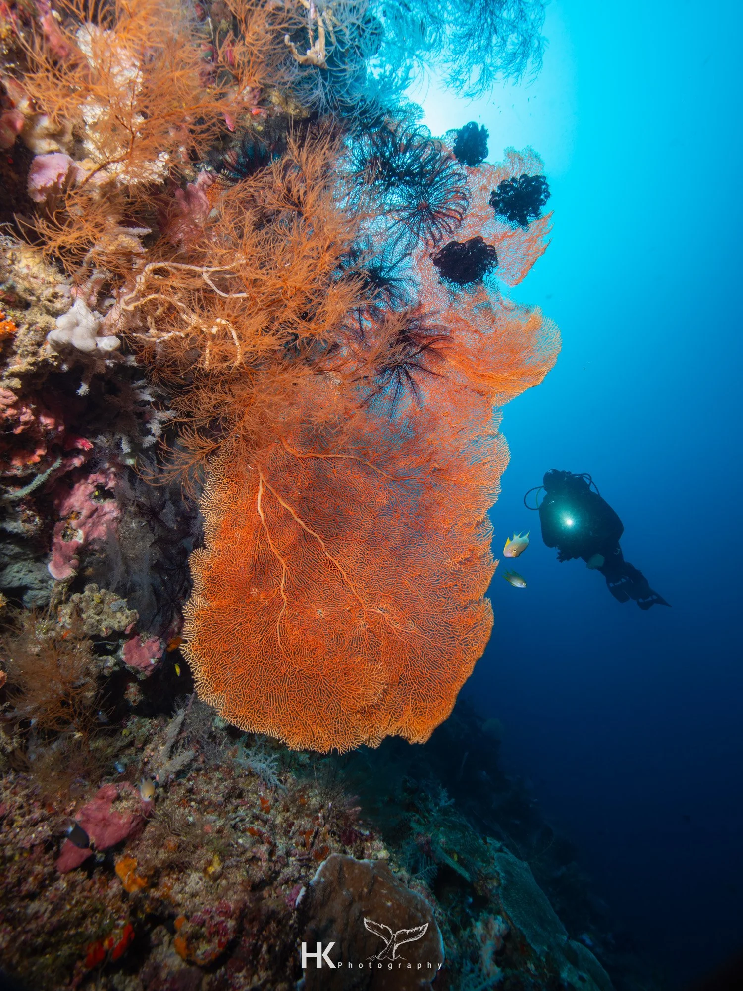 Nabucco 2025-835.jpg