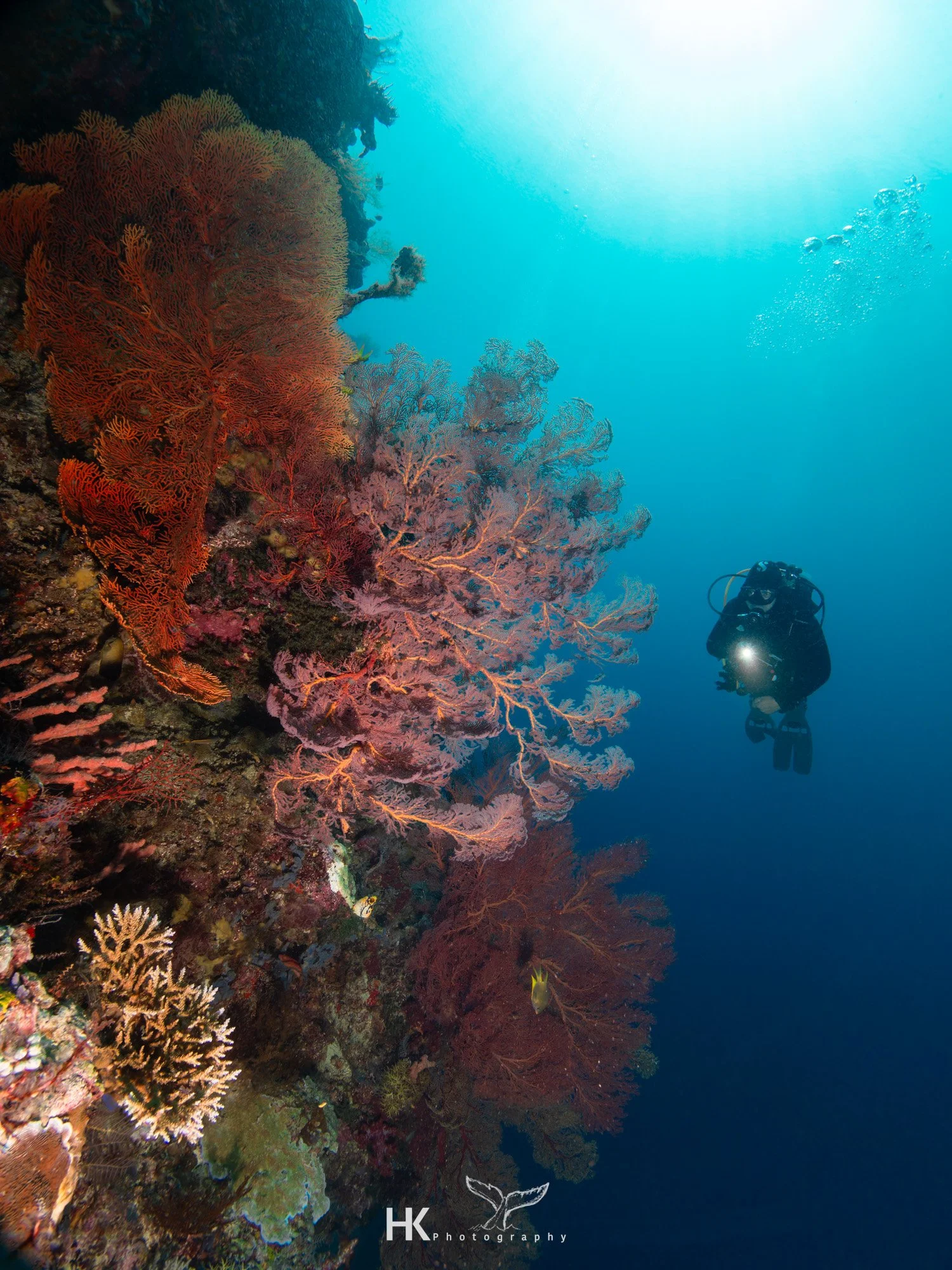 Nabucco 2025-842.jpg