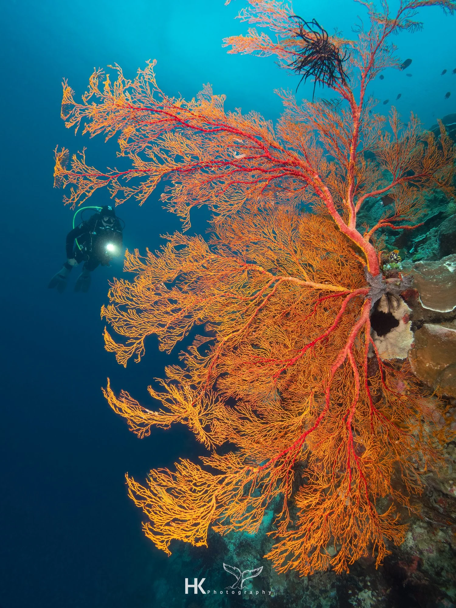 Nabucco 2025-845.jpg