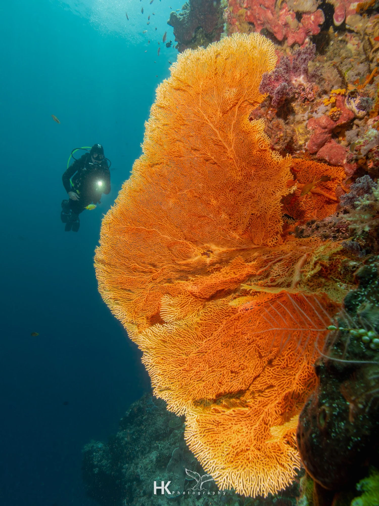 Nabucco 2025-856.jpg