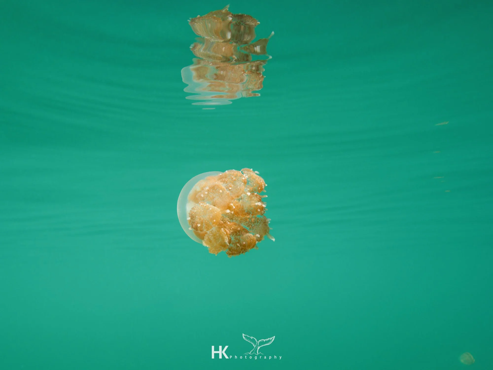 Nabucco 2025-885.jpg