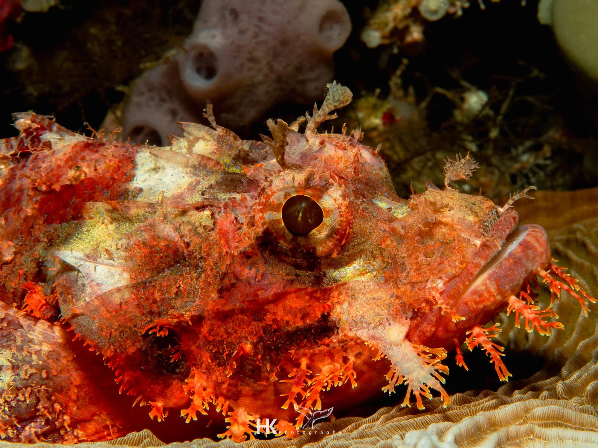 Nabucco 2025-903.jpg