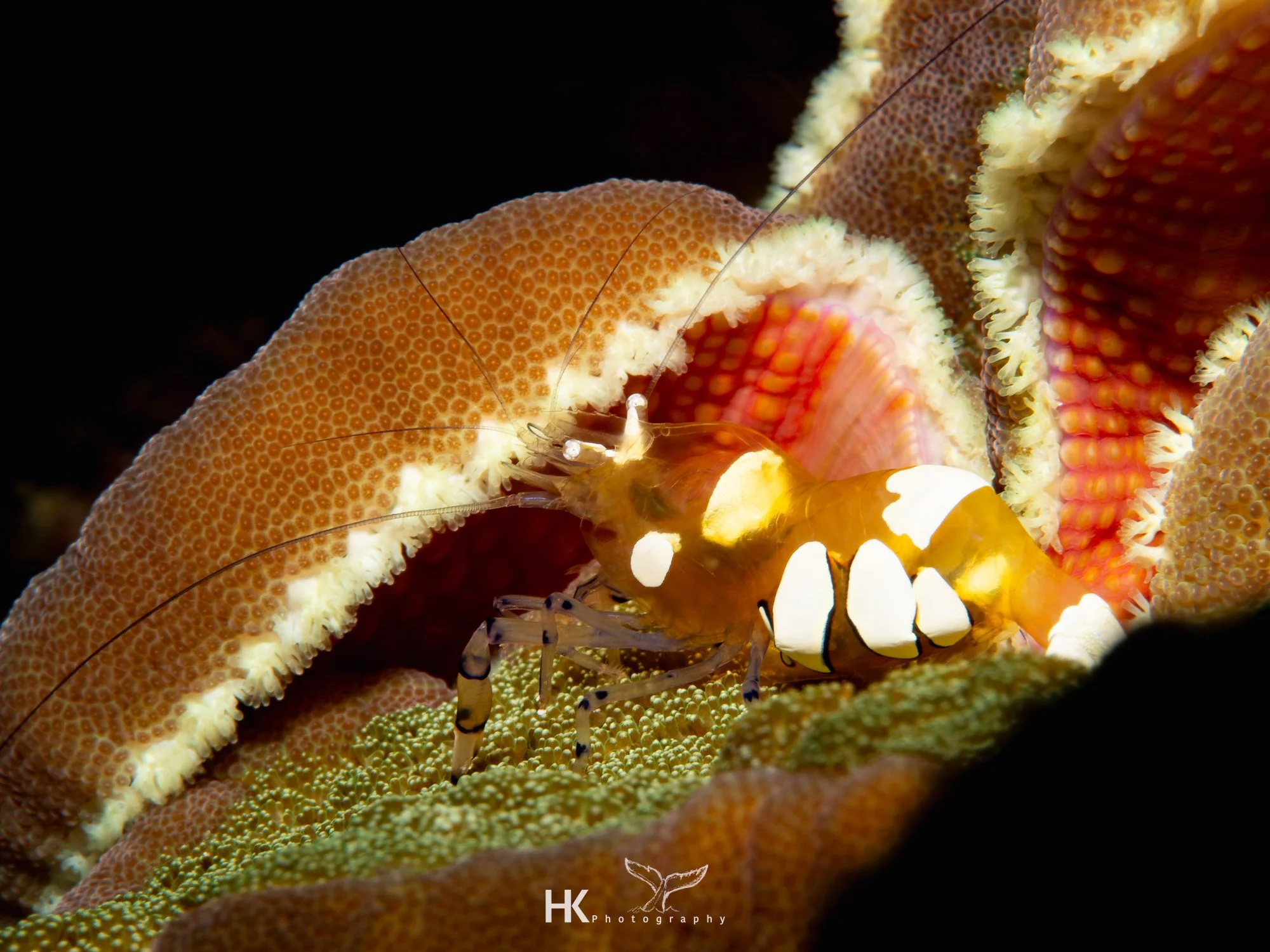 Nabucco 2025-927.jpg