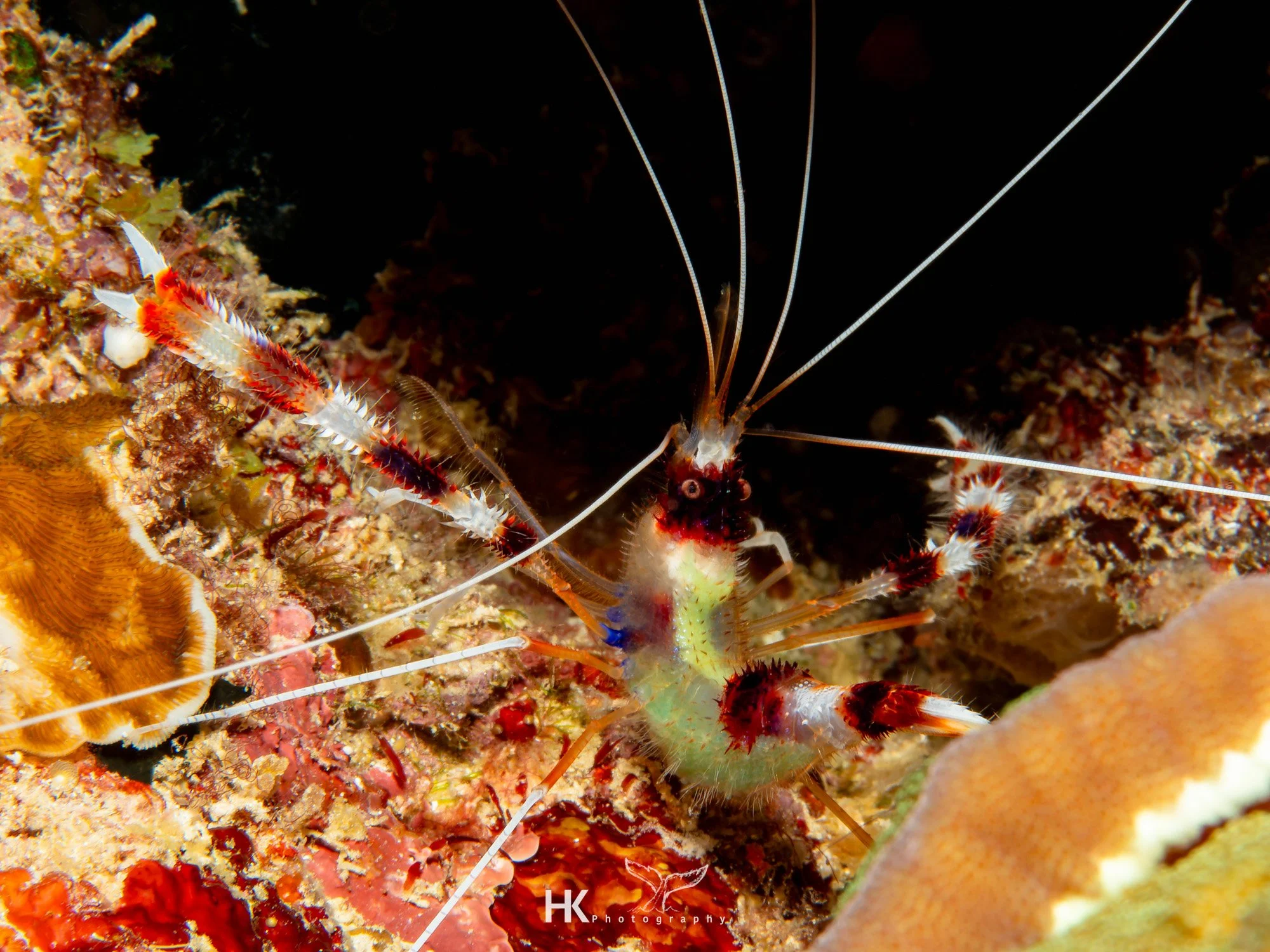 Nabucco 2025-954.jpg