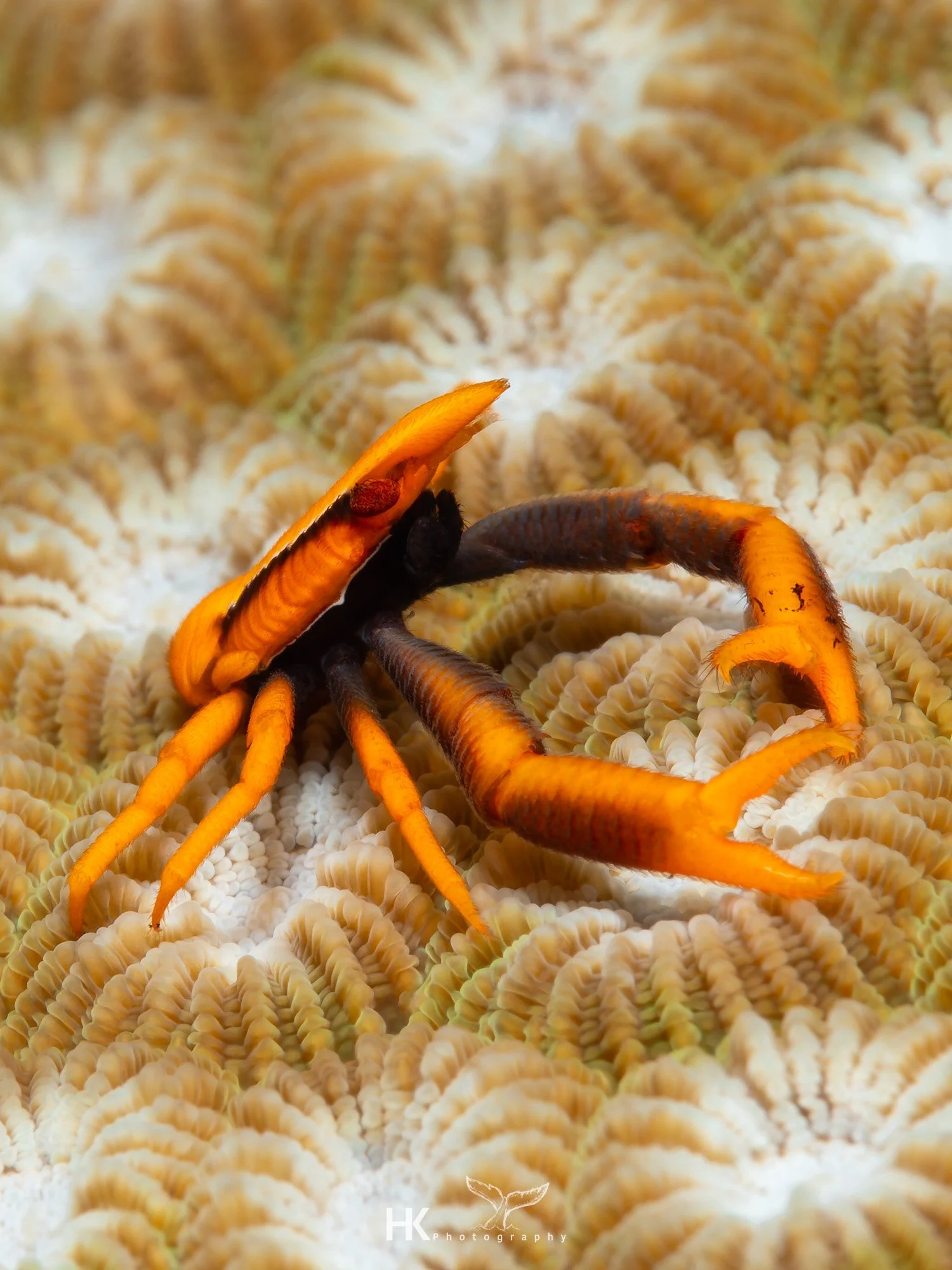 Nabucco 2025-1029.jpg