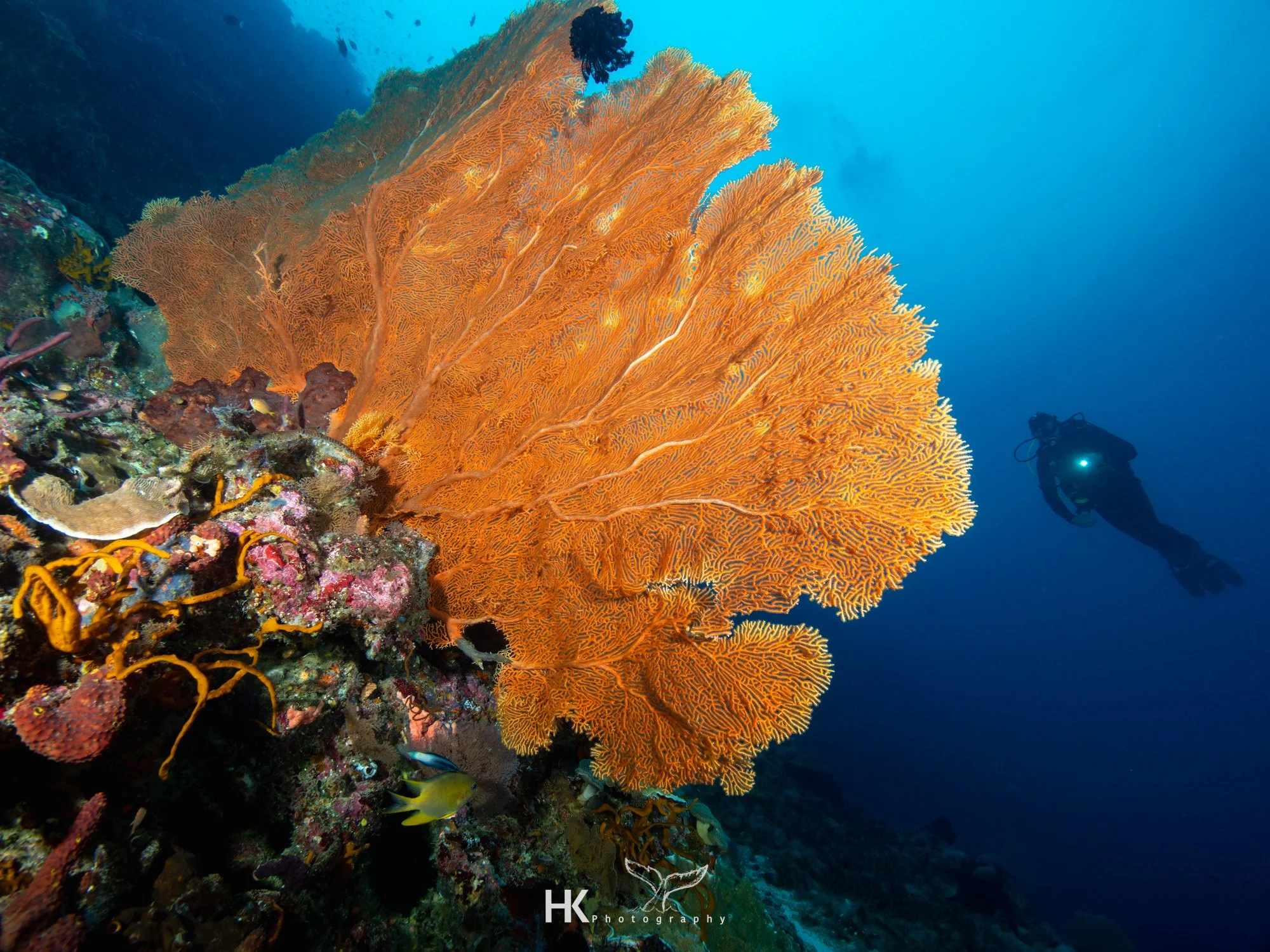 Nabucco 2025-1041.jpg