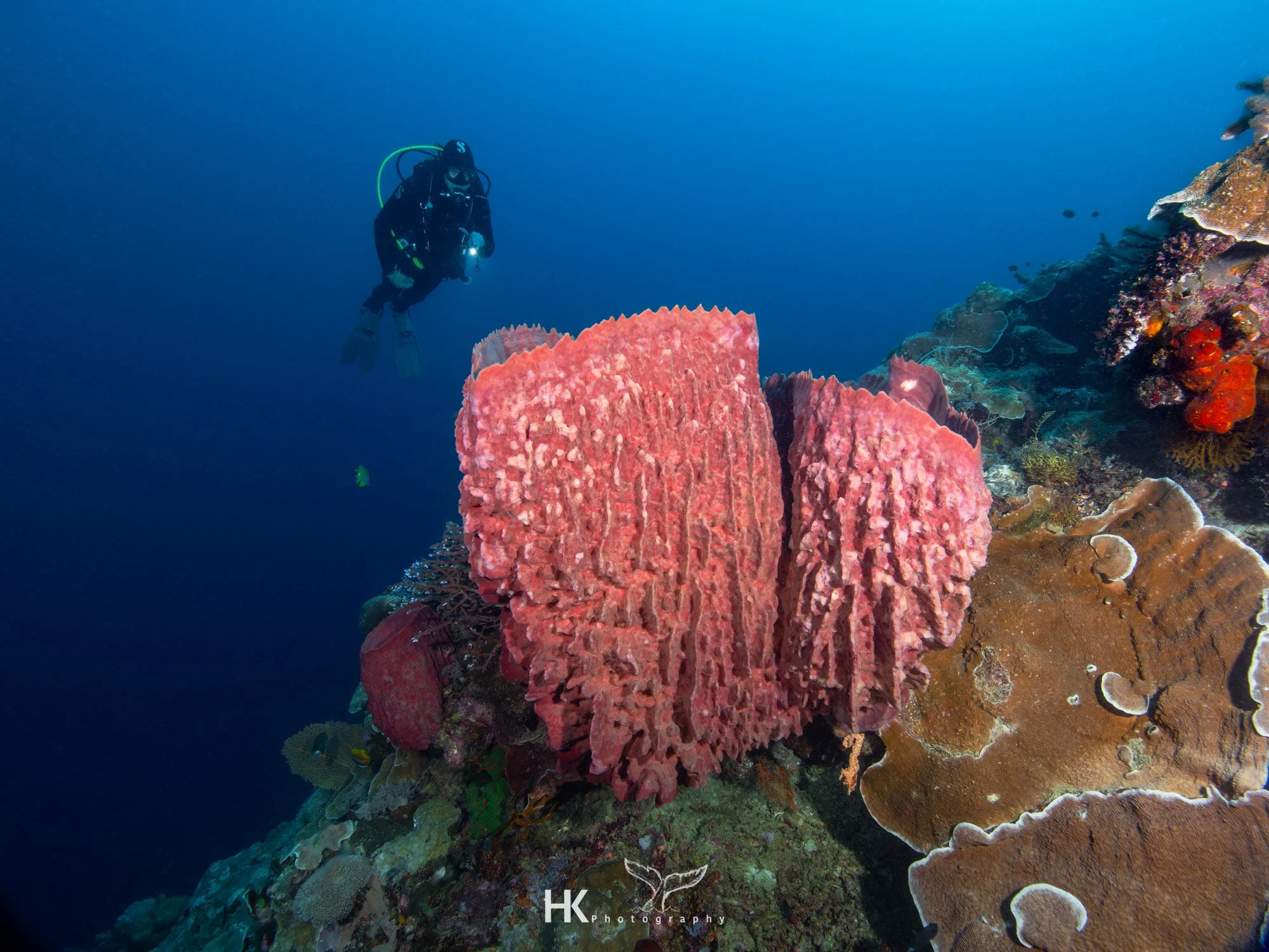 Nabucco 2025-1047.jpg