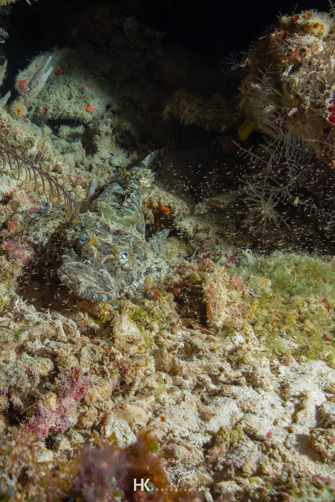 Nabucco 2025-1079.jpg