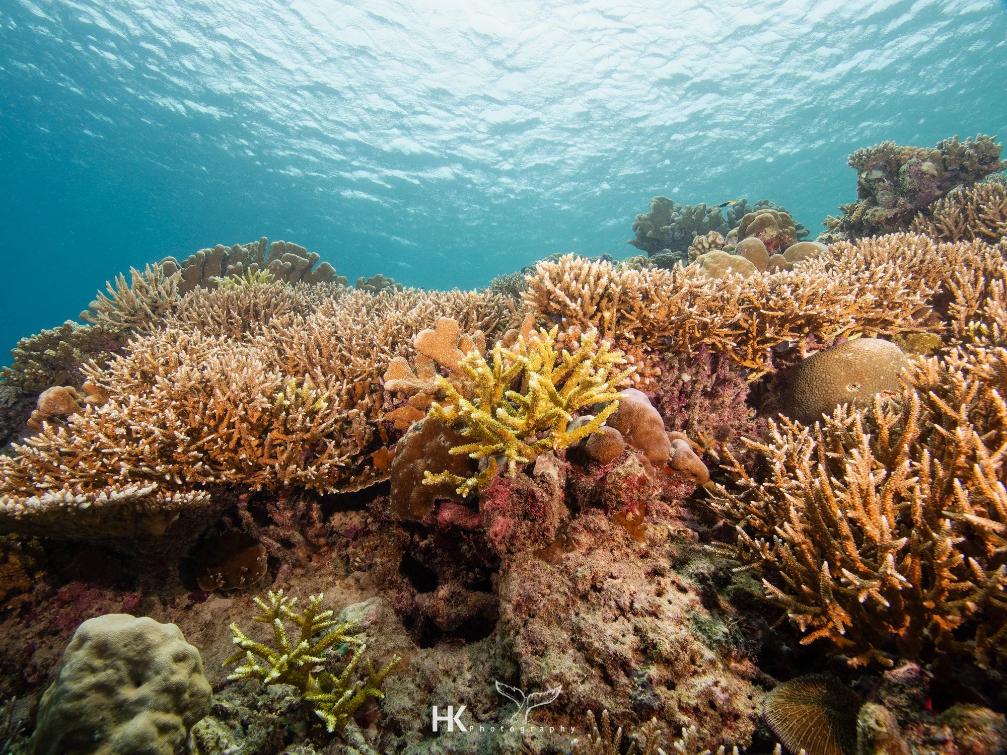 Nabucco 2025-1084.jpg