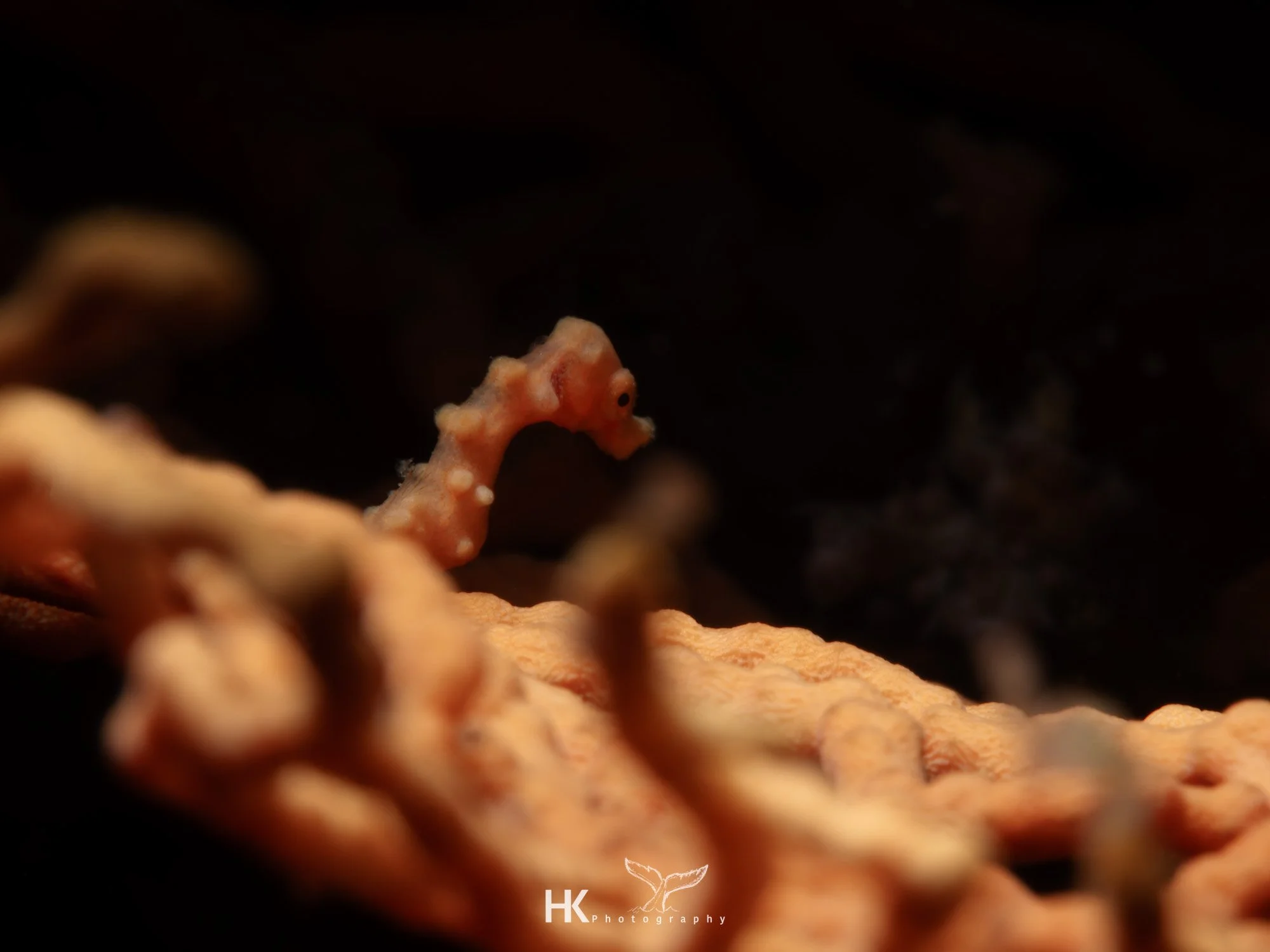 Nabucco 2025-1099.jpg