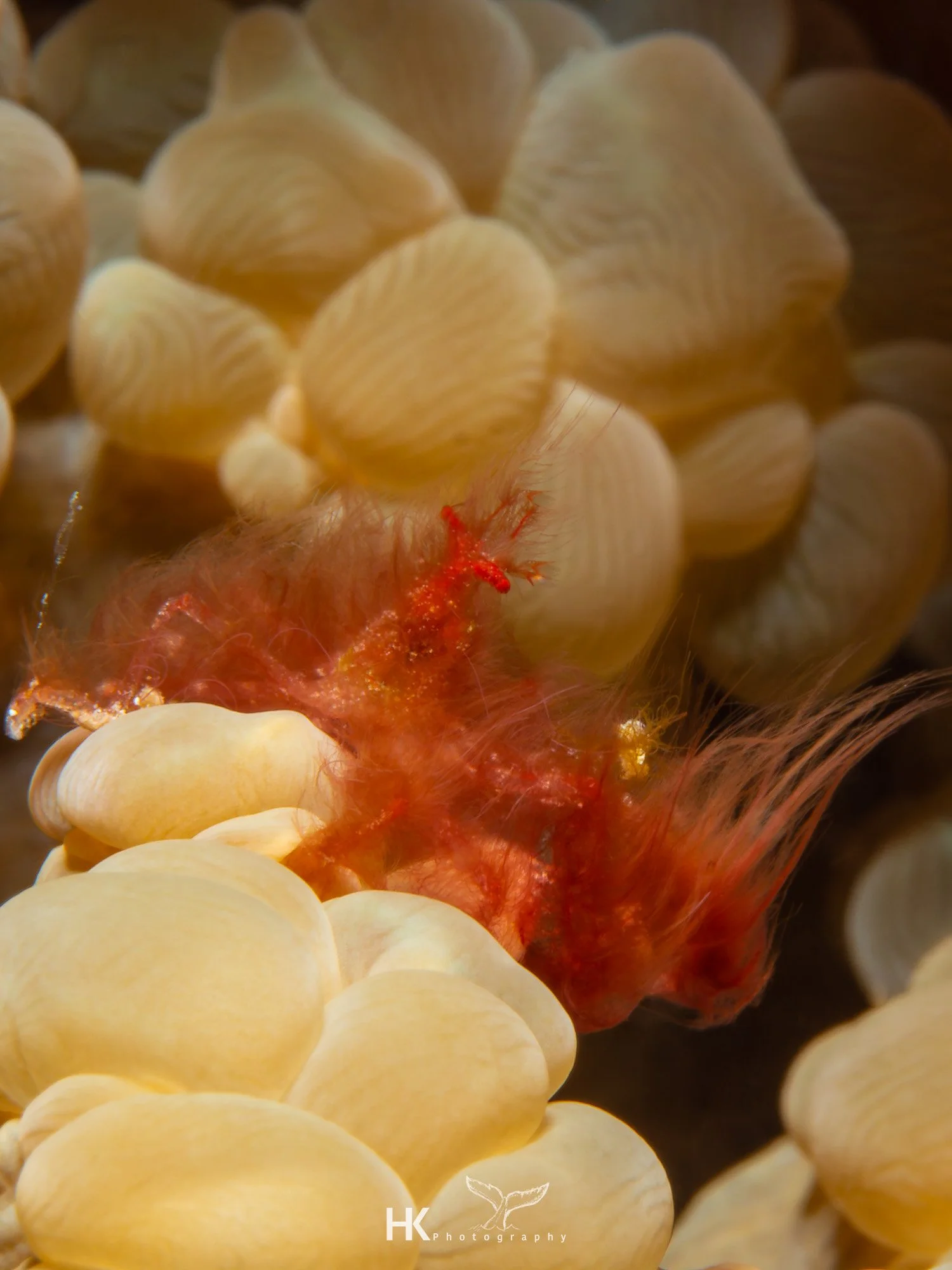 Nabucco 2025-1178.jpg