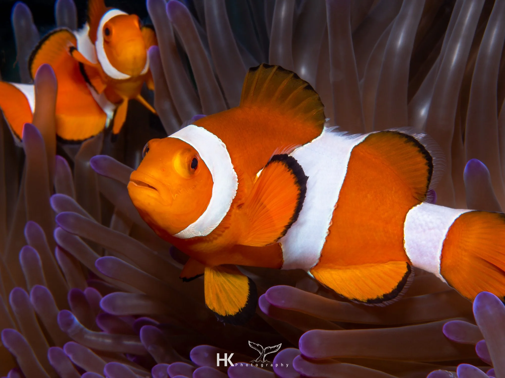 Nabucco 2025-1267.jpg