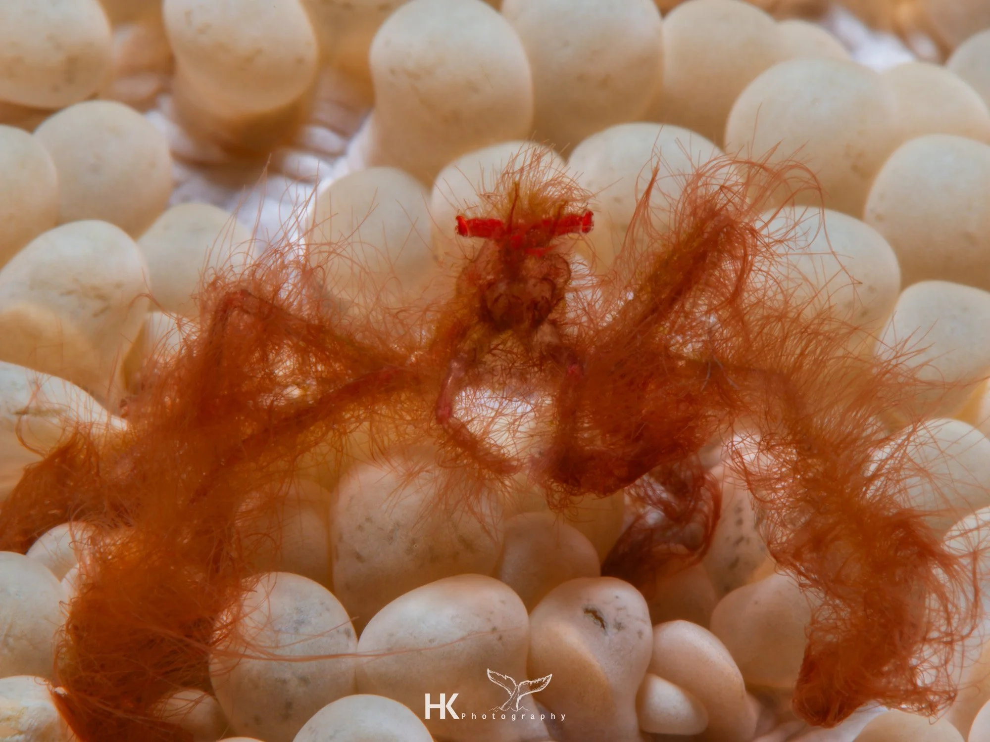 Nabucco 2025-1289.jpg