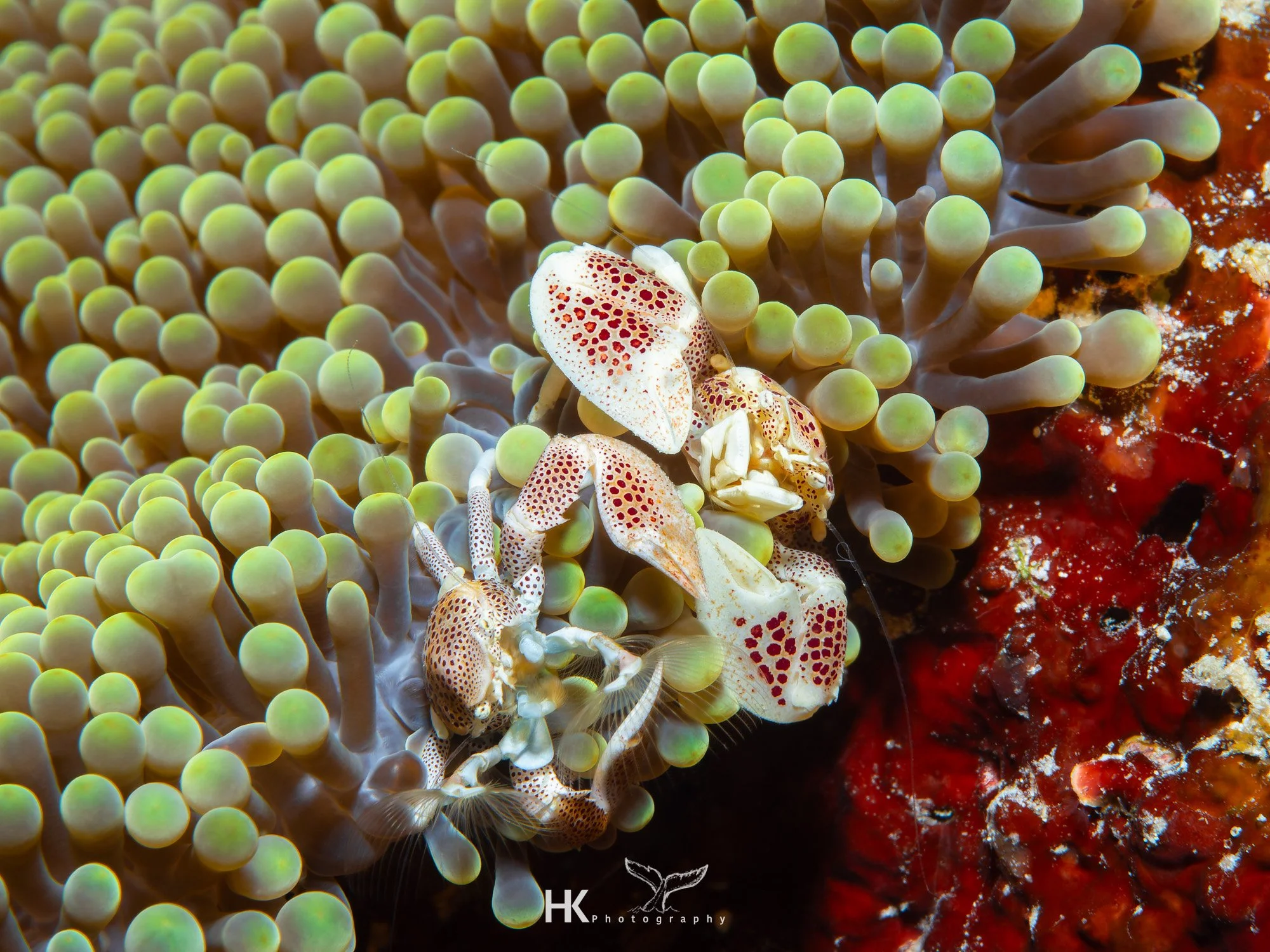 Nabucco 2025-1304.jpg