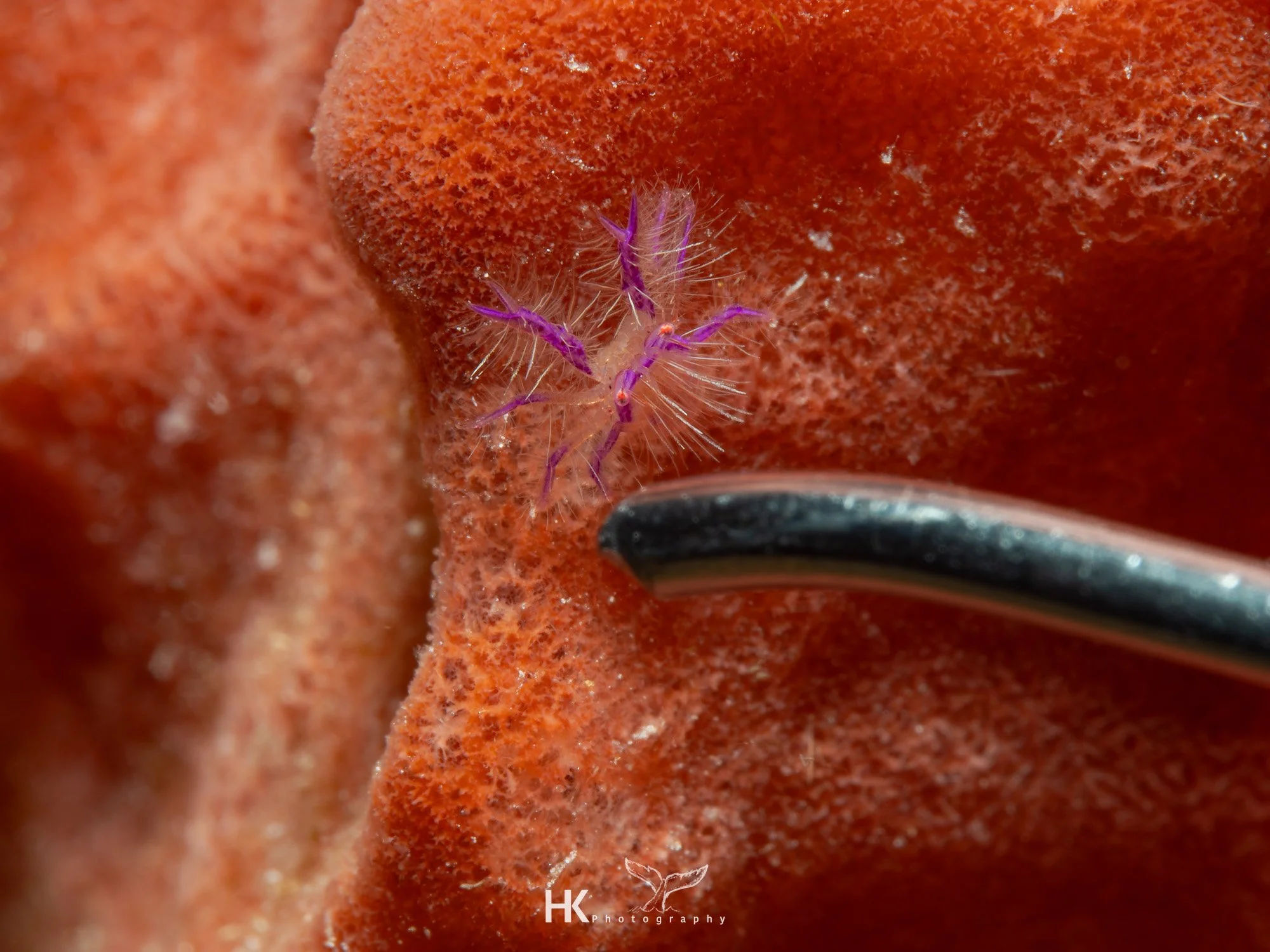 Nabucco 2025-1313.jpg