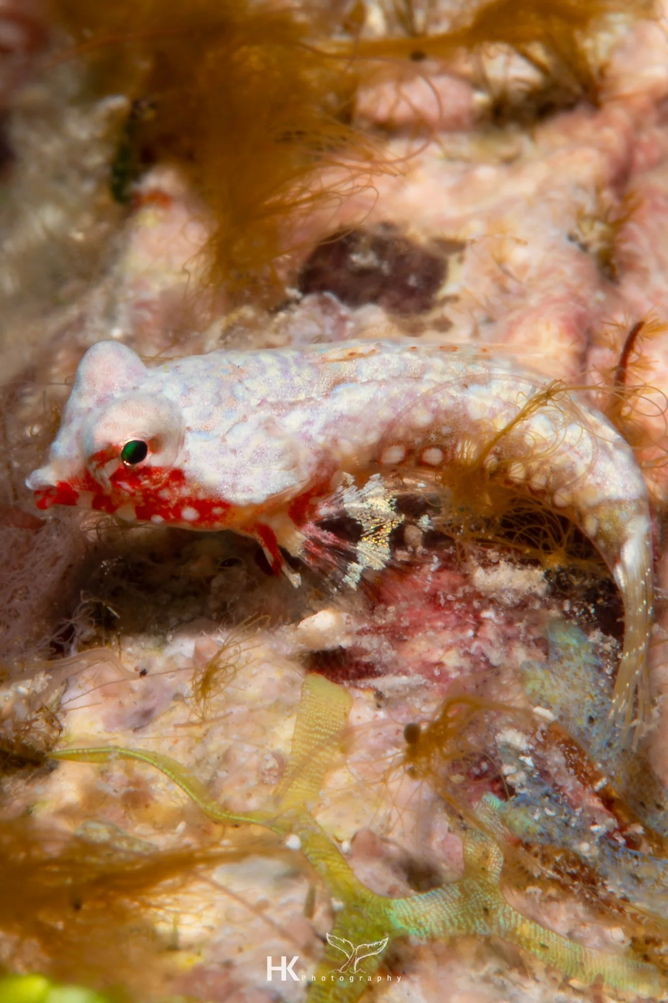 Nabucco 2025-1339.jpg