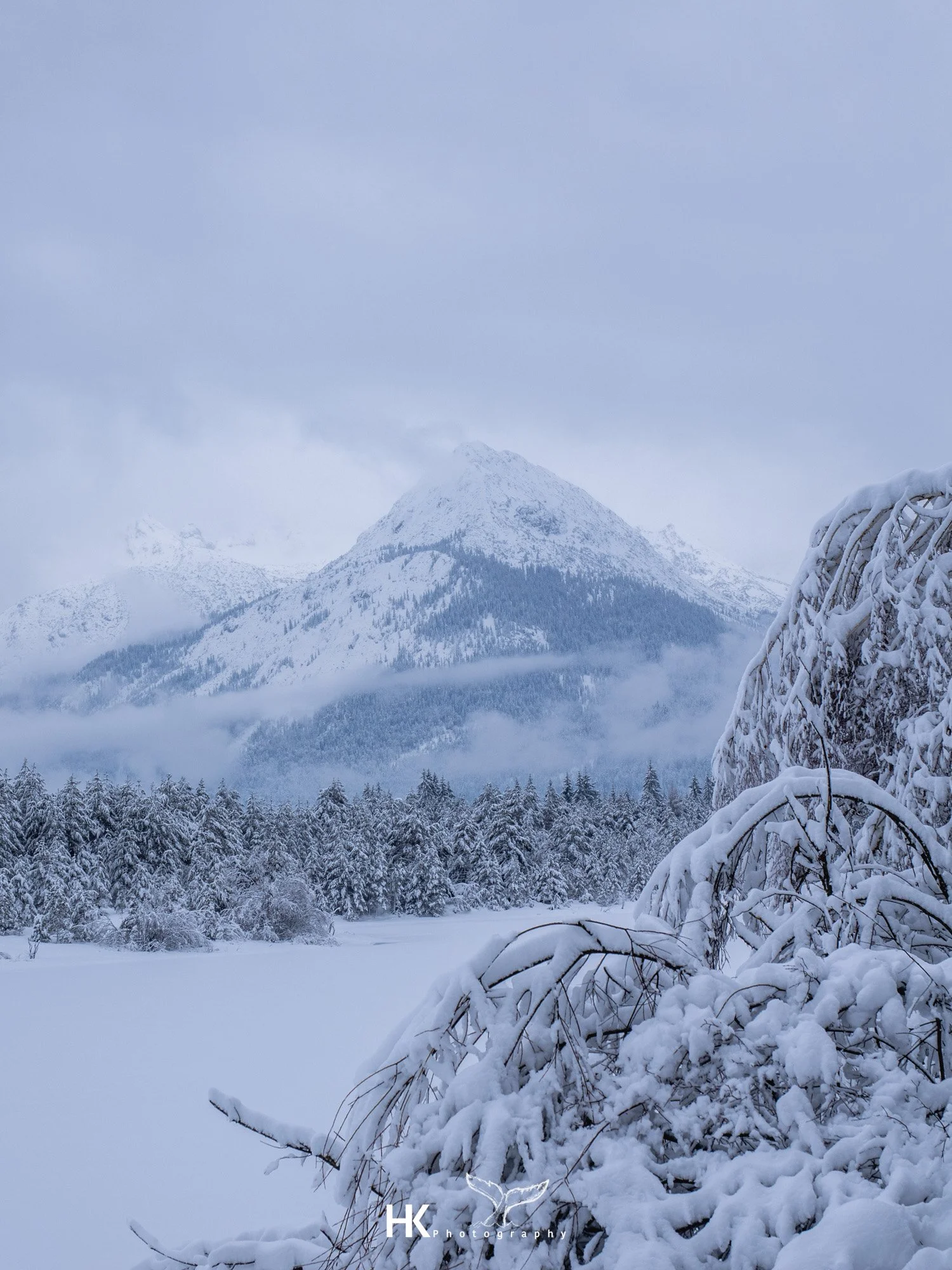 Eistauchen 2026-9.jpg