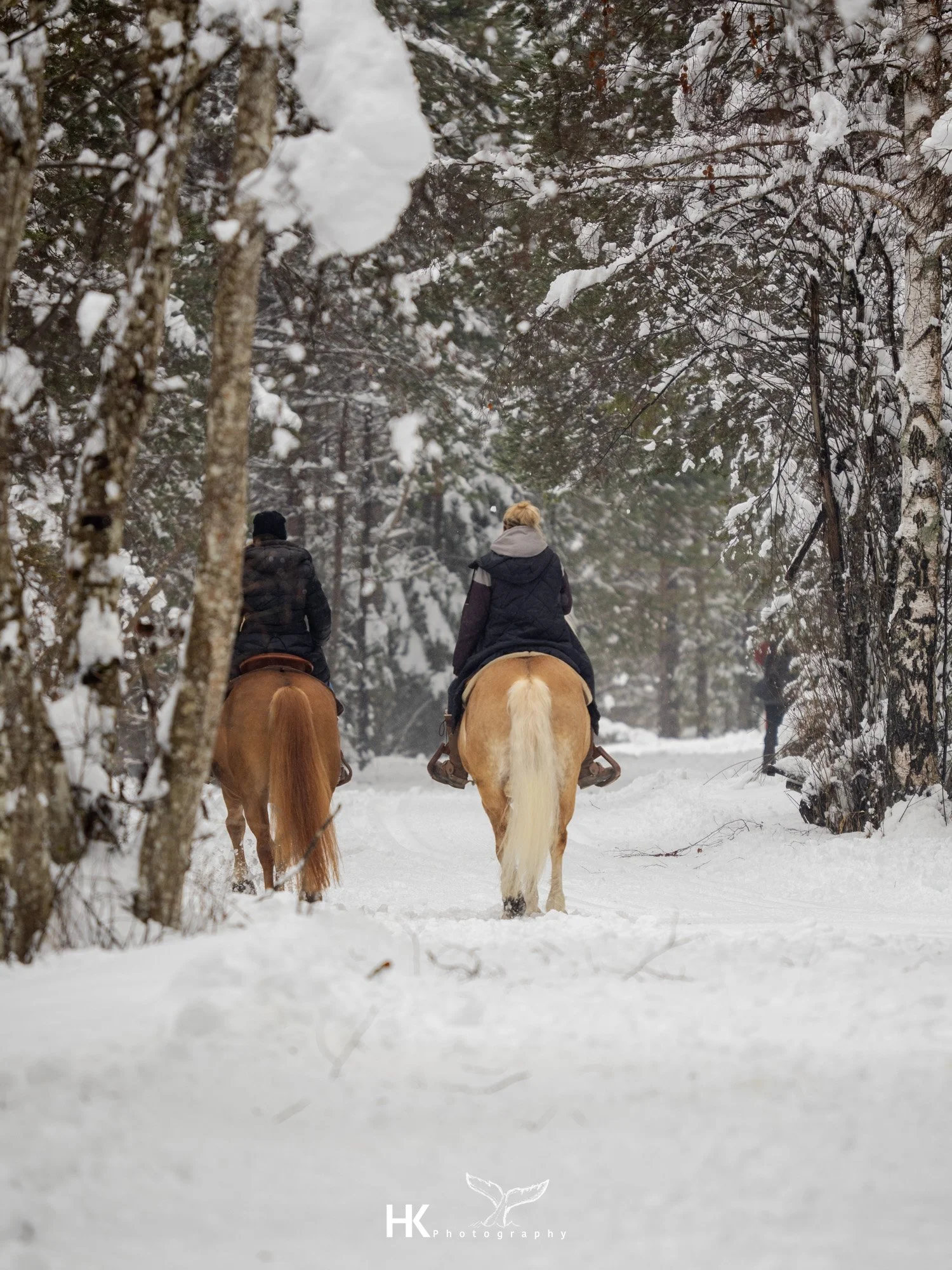 Eistauchen 2026-17.jpg