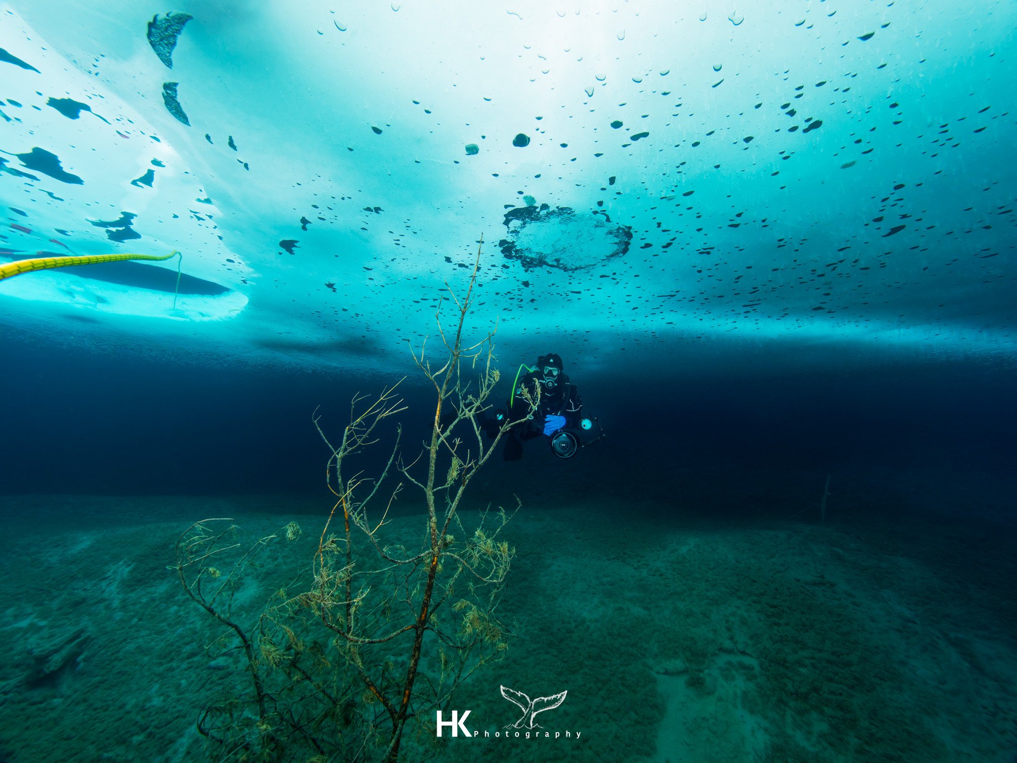 Eistauchen 2026-45.jpg