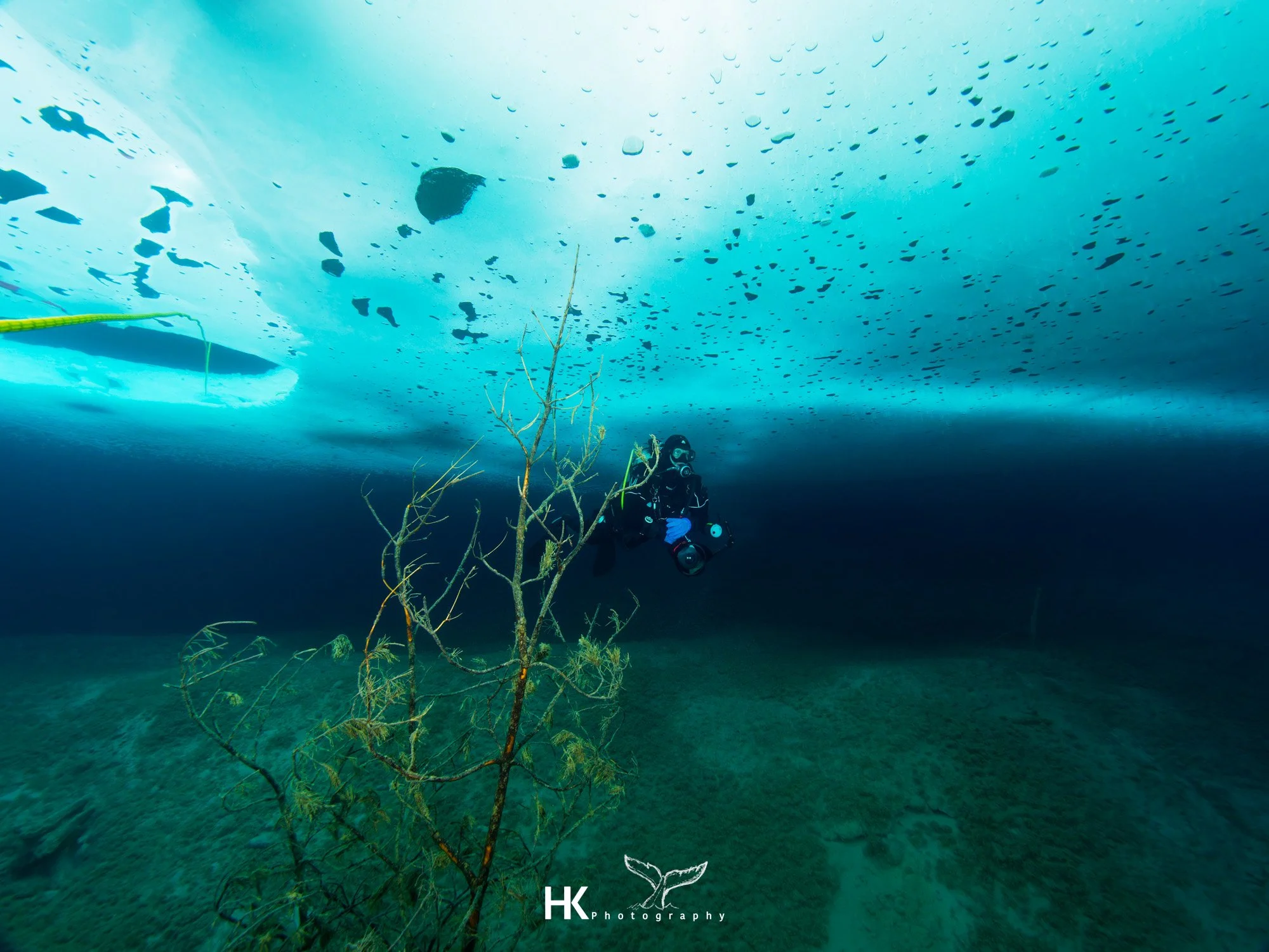 Eistauchen 2026-44.jpg