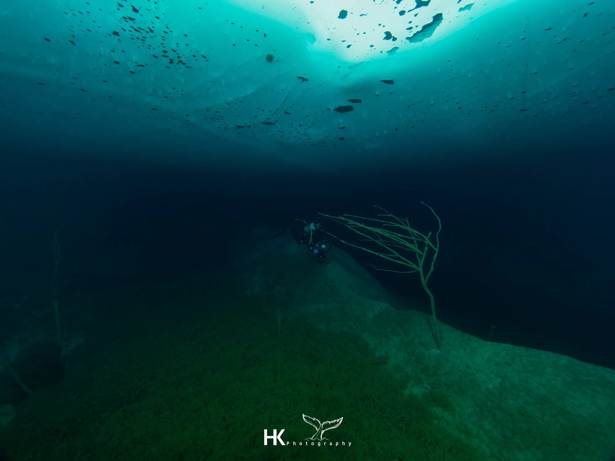 Eistauchen 2026-52.jpg