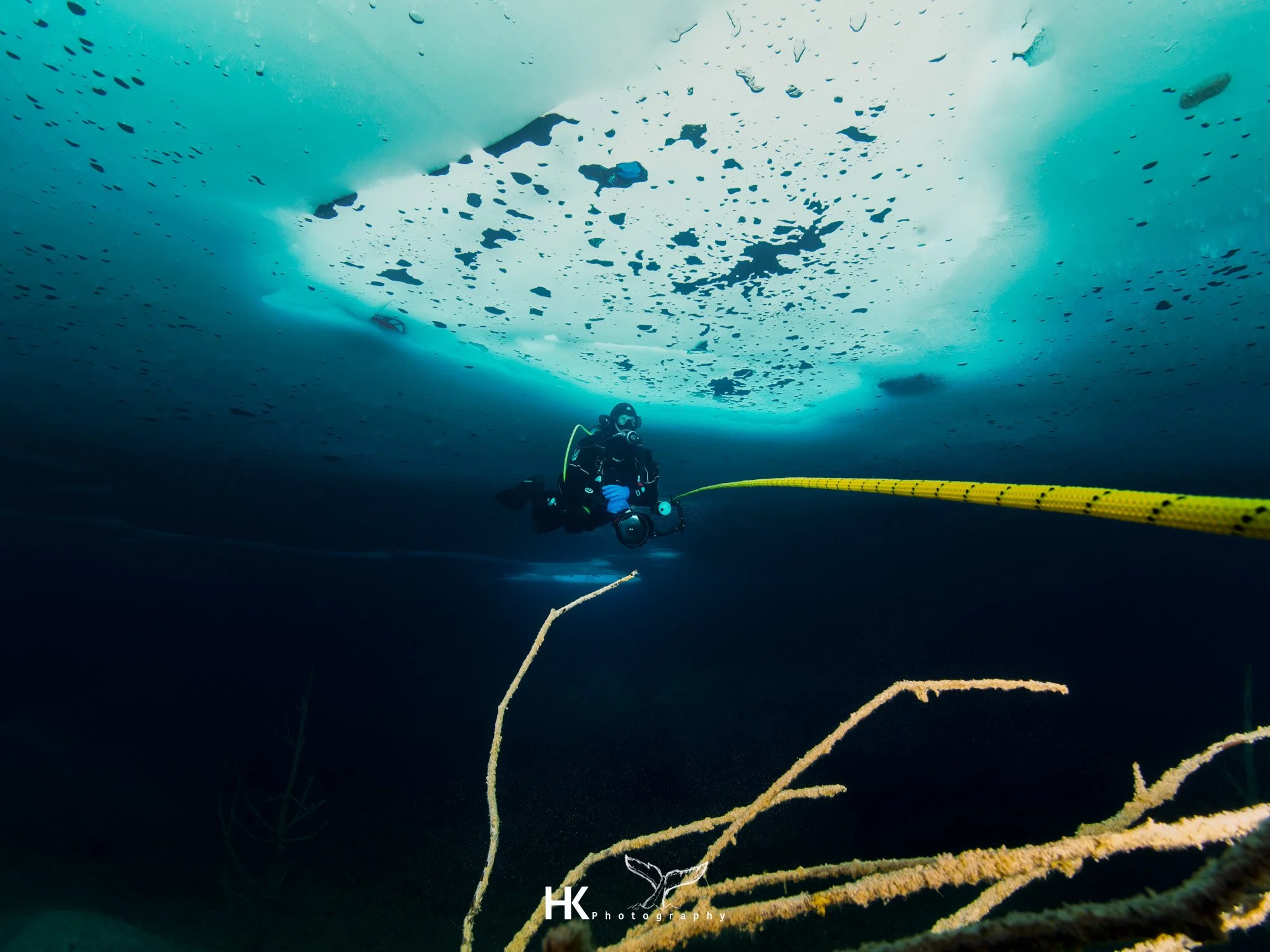 Eistauchen 2026-60.jpg