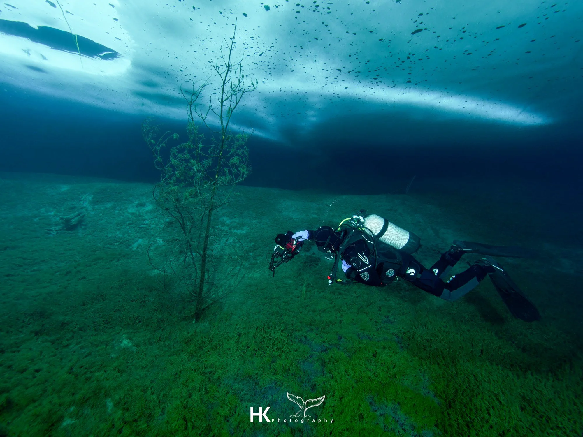 Eistauchen 2026-67.jpg