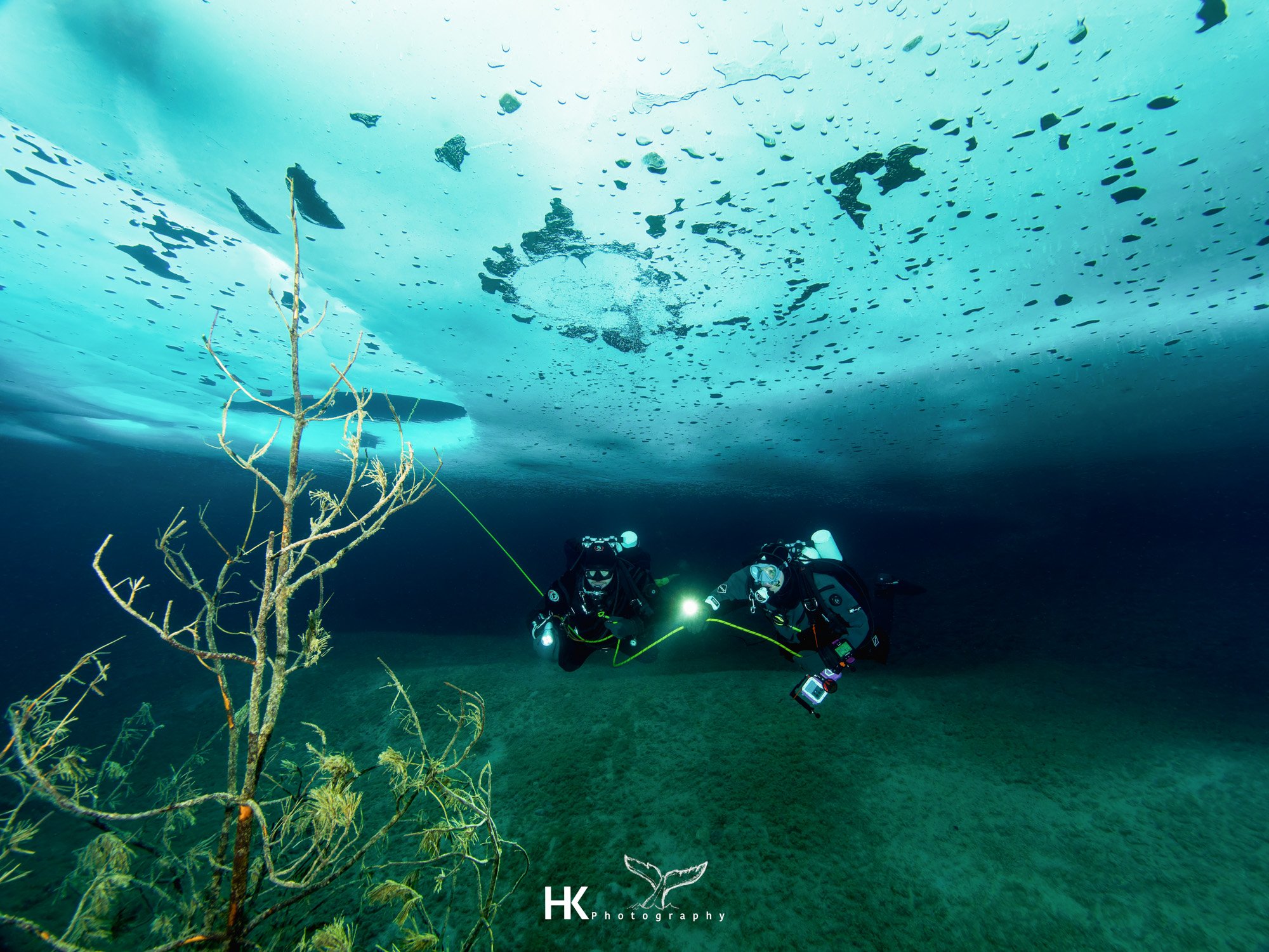 Eistauchen 2026-93.jpg