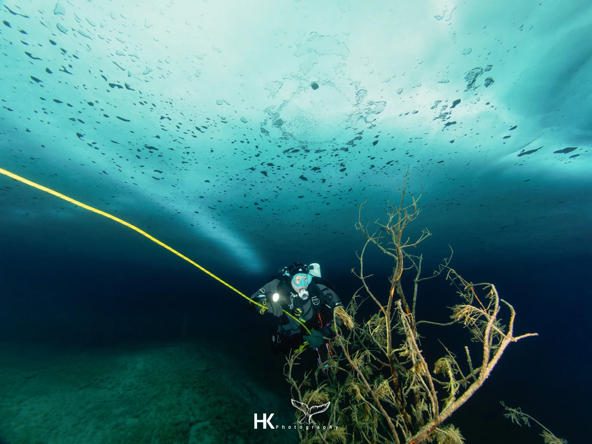 Eistauchen 2026-102.jpg