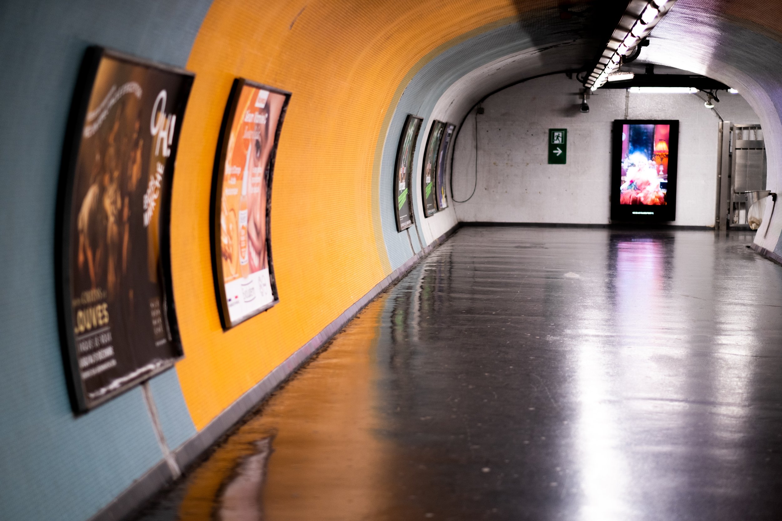 DSCF8714.jpg