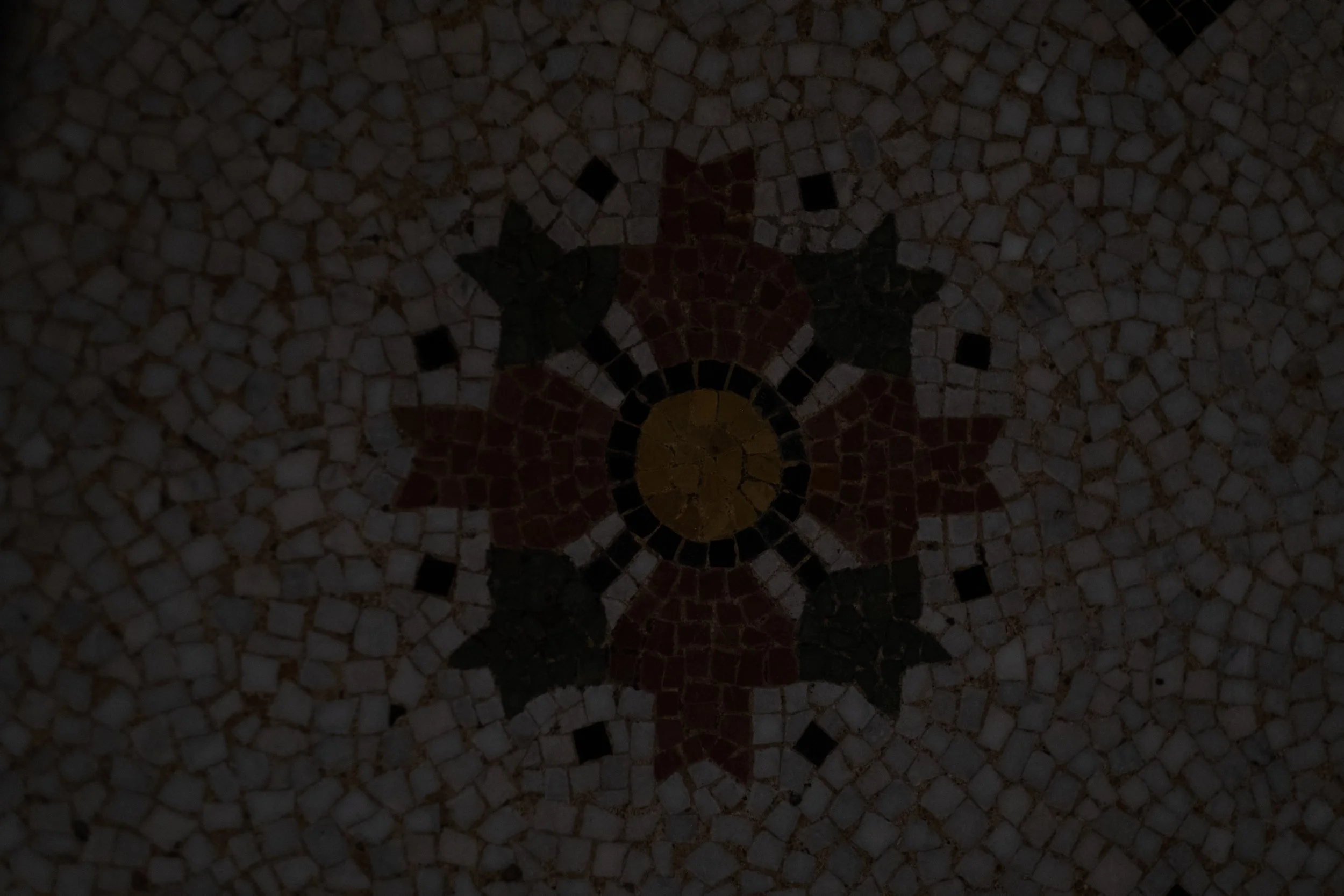 DSCF8890.jpg