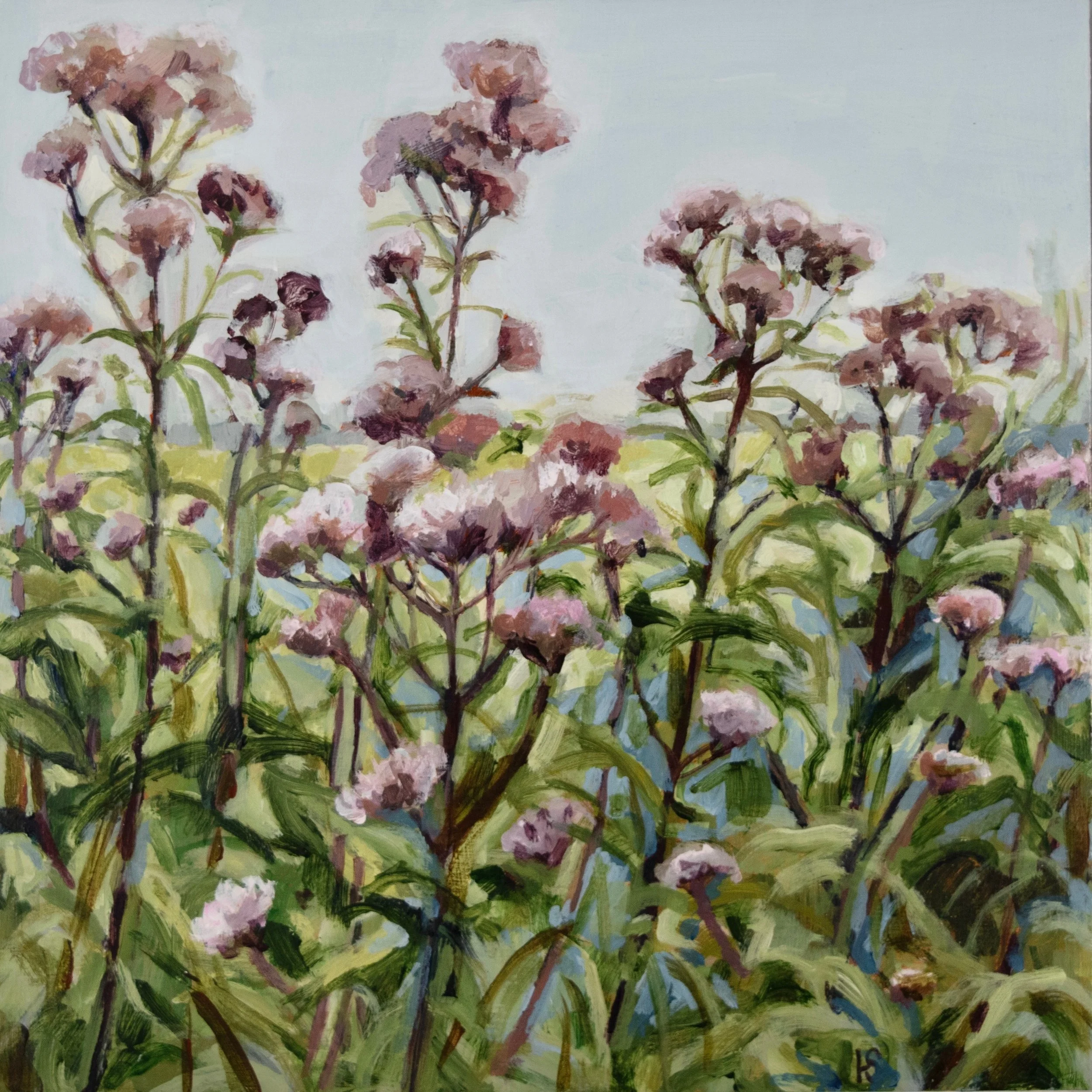 Open Studios&hellip;&hellip; it&rsquo;s the last weekend where you can see these two paintings of the Hemp Agrimony that borders the marshes between Lady Anne&rsquo;s drive and Wells. 

Fingers and toes crossed I&rsquo;m hoping to be there tomorrow m