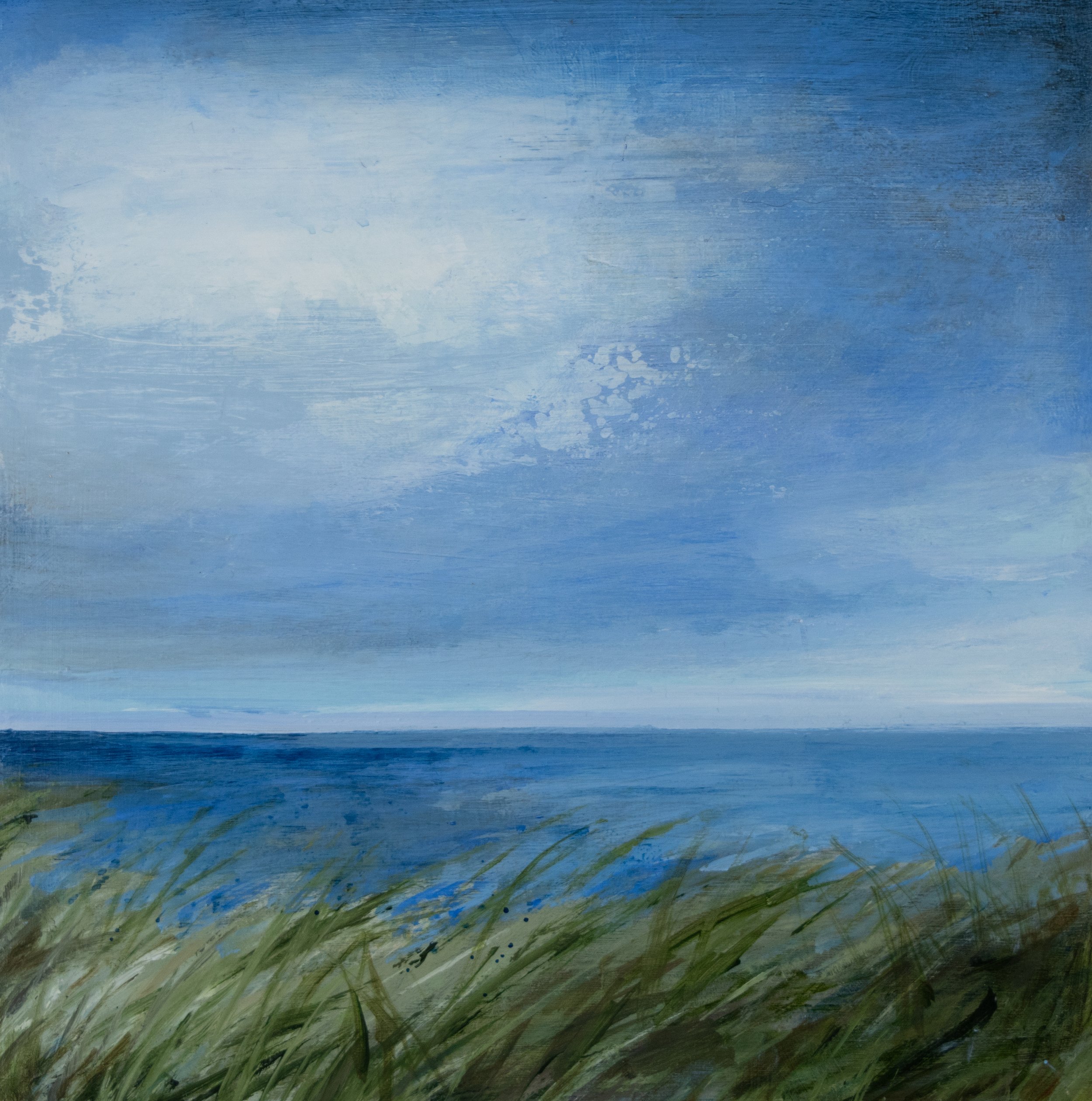 Picnic on the Dunes.jpg