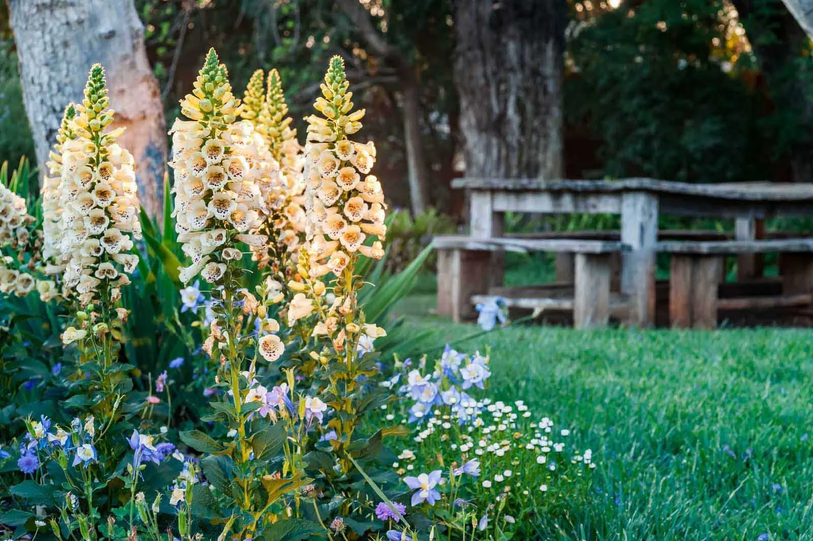 Tim Steyn Landscaping